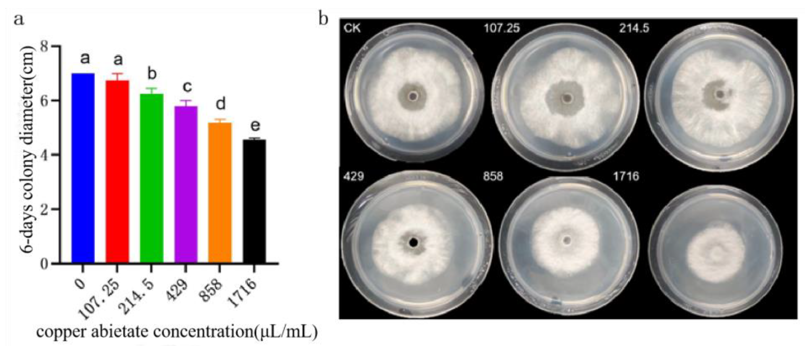 Preprints 105817 g016