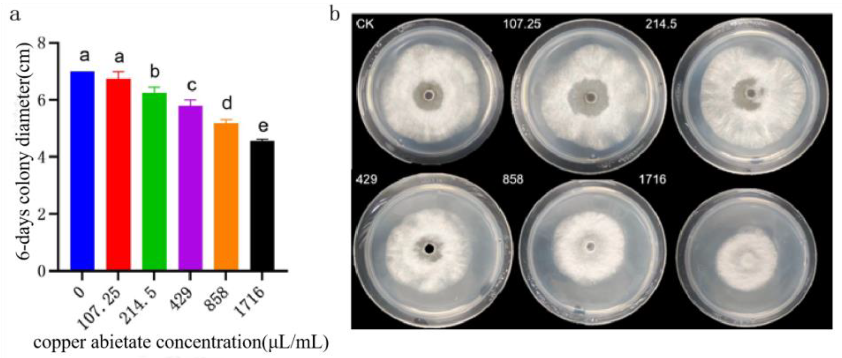 Preprints 105817 g017