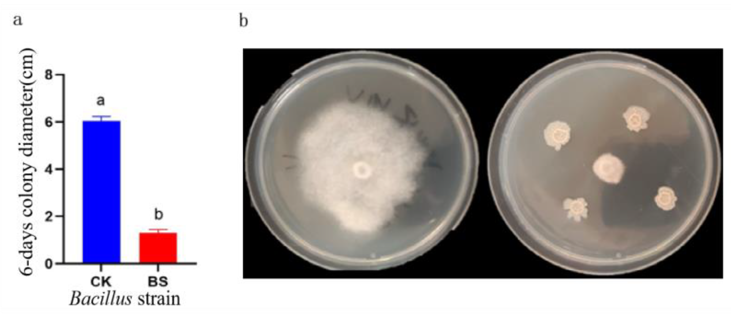 Preprints 105817 g019