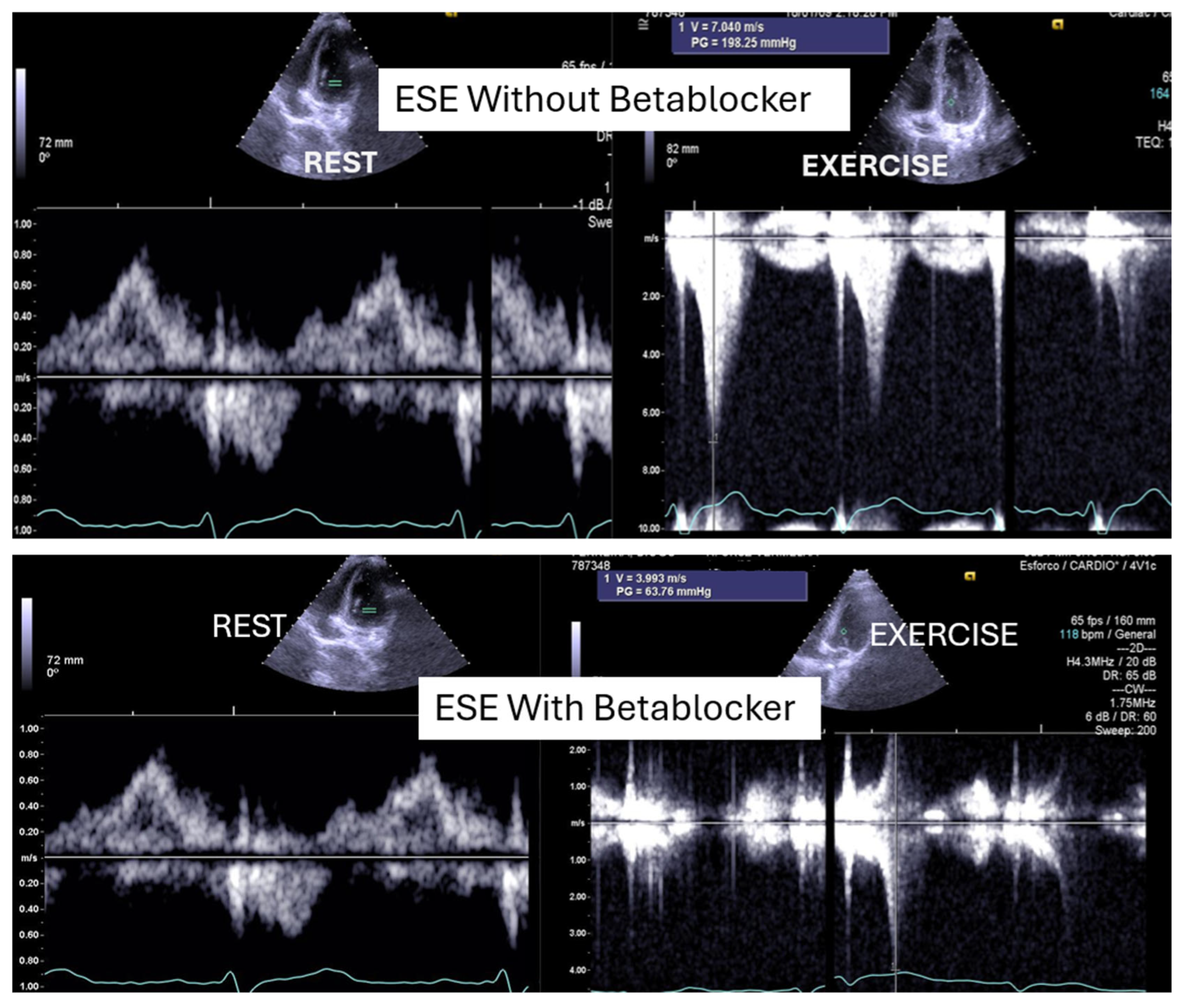 Preprints 160979 g001