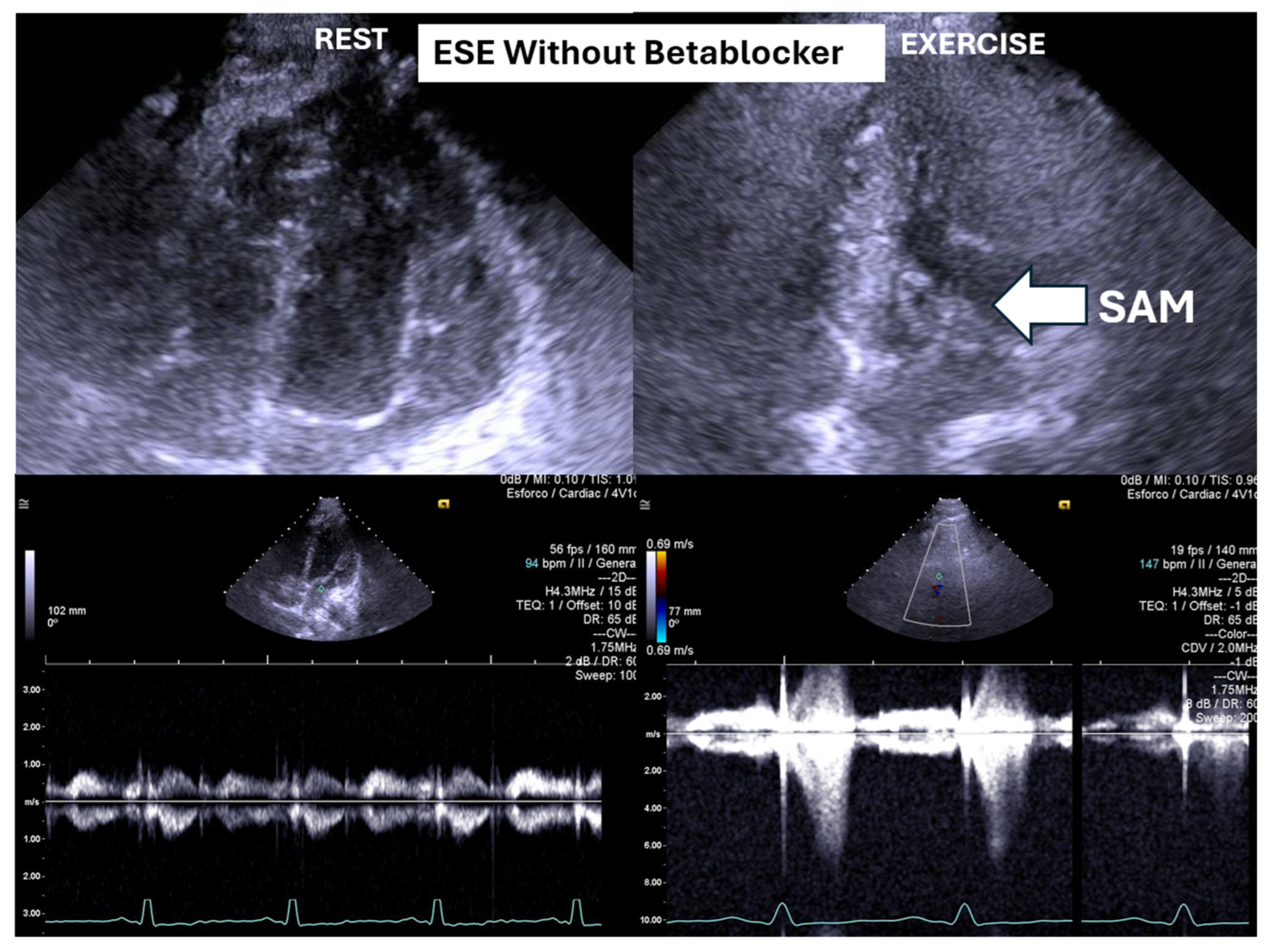 Preprints 160979 g002