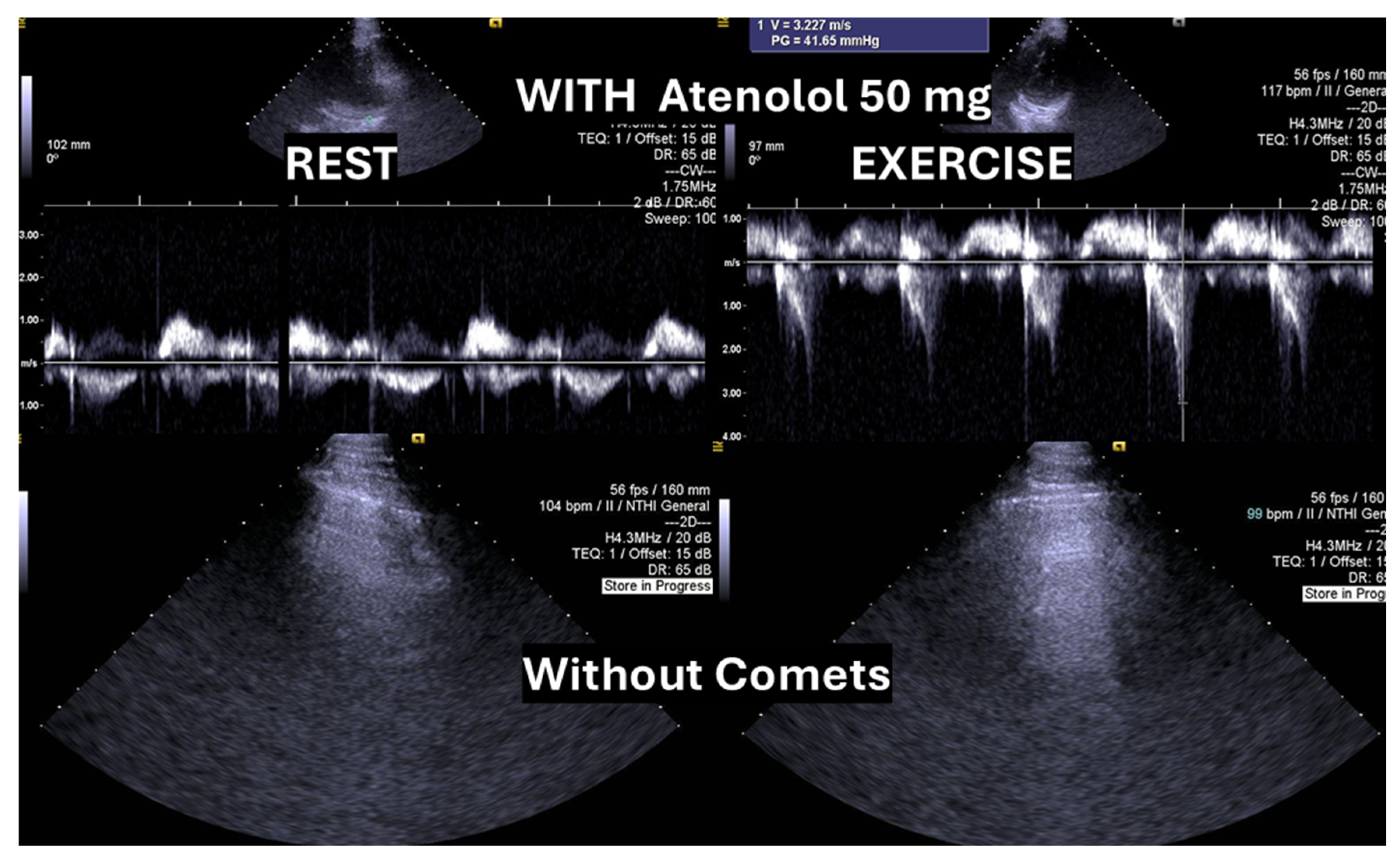Preprints 160979 g004