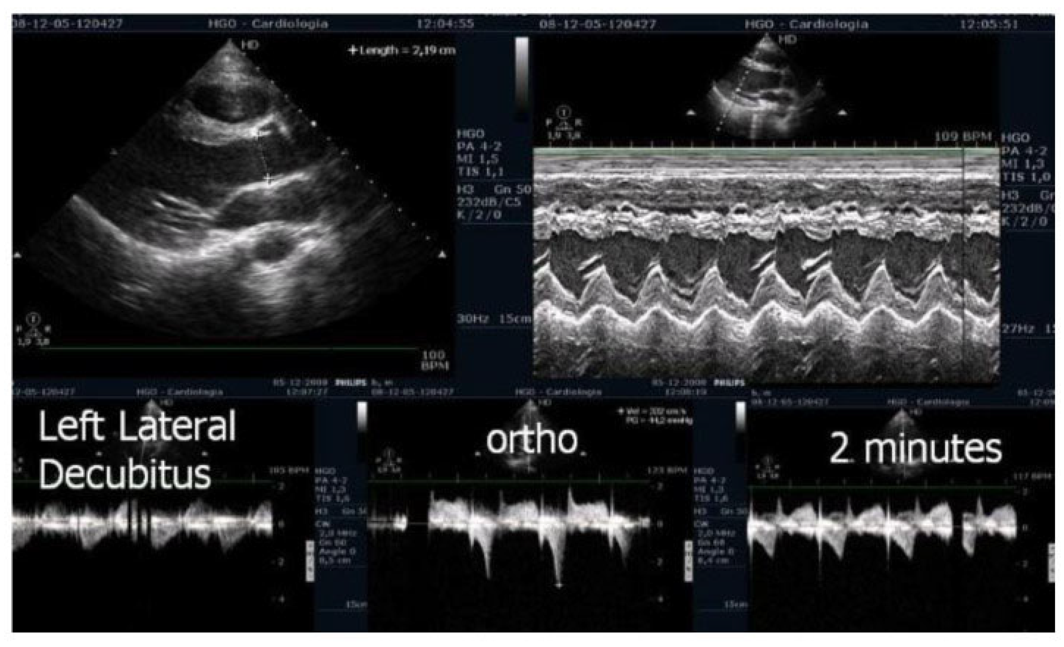 Preprints 160979 g005