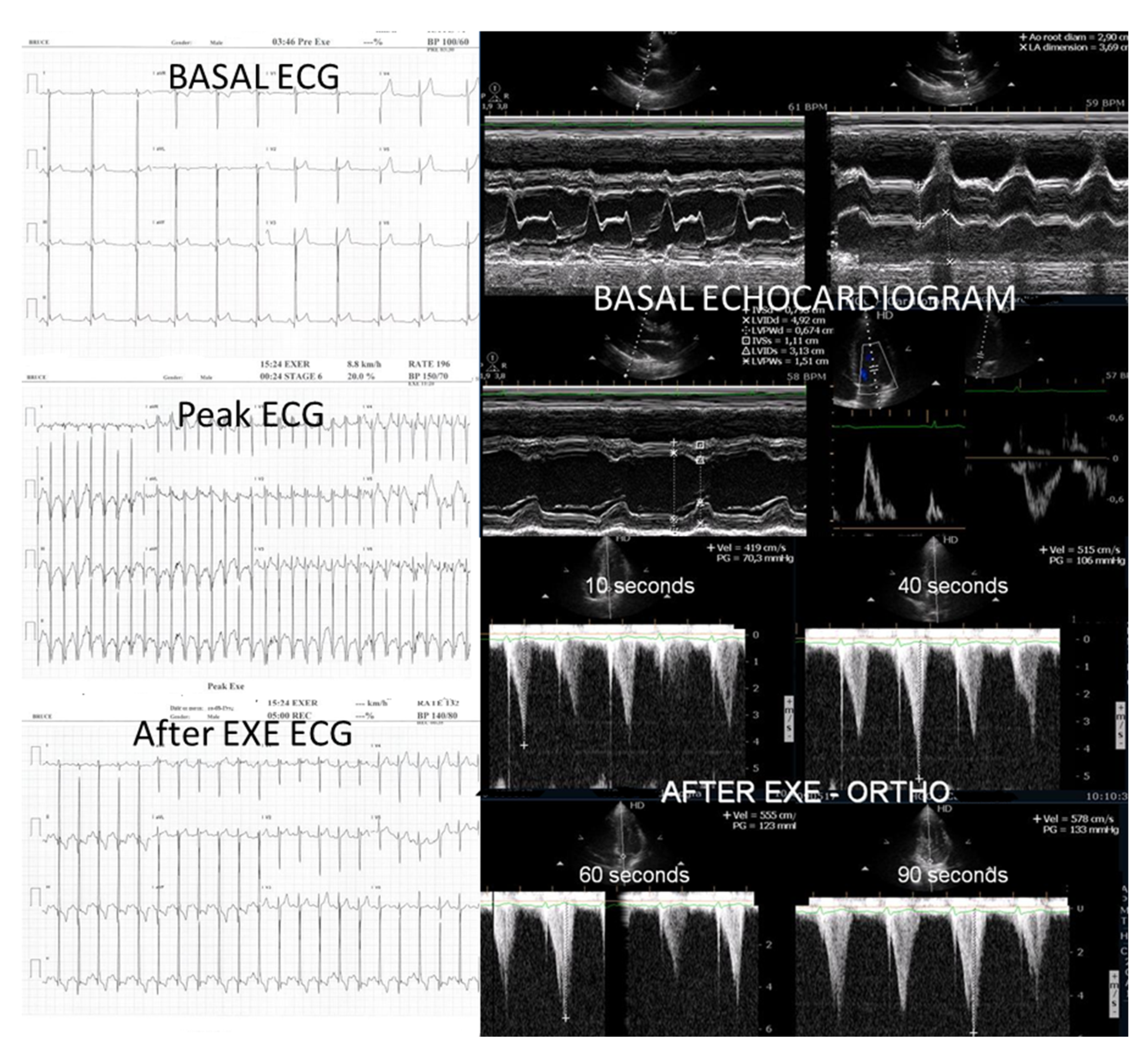 Preprints 160979 g007
