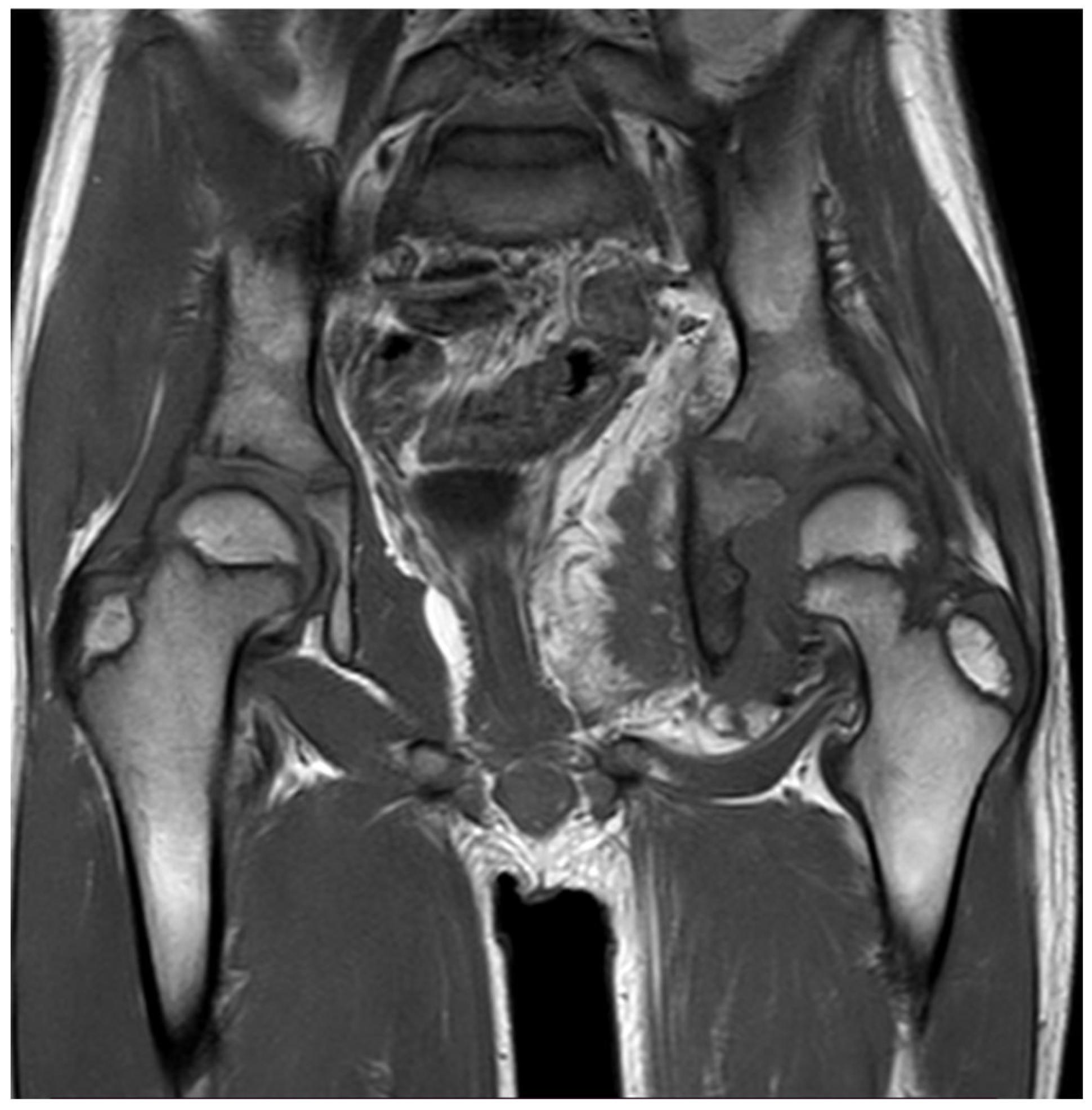 Preprints 198557 g001