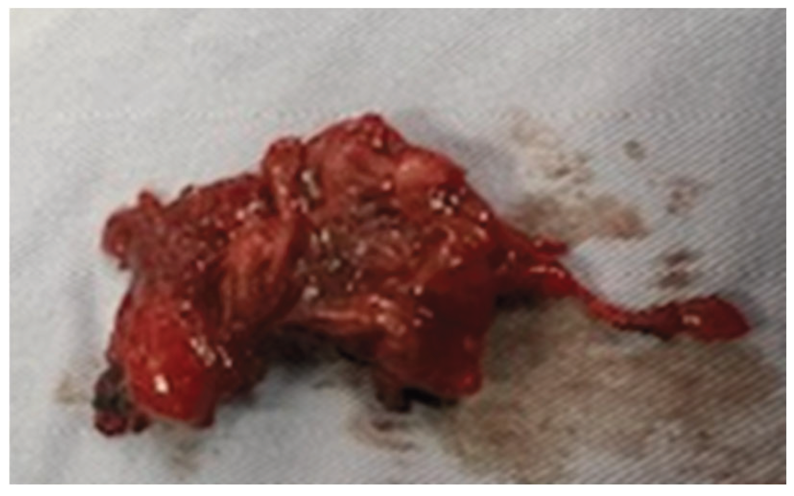 Preprints 198557 g002