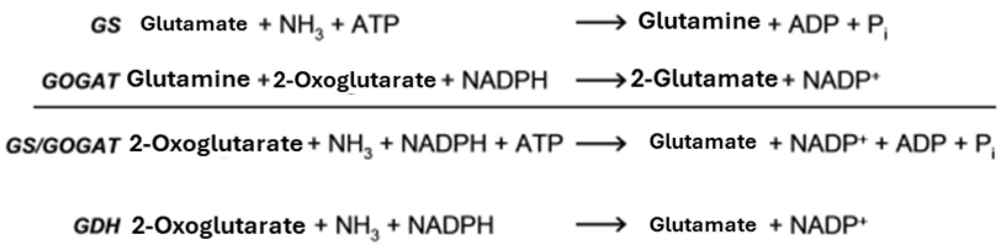 Preprints 176202 g001