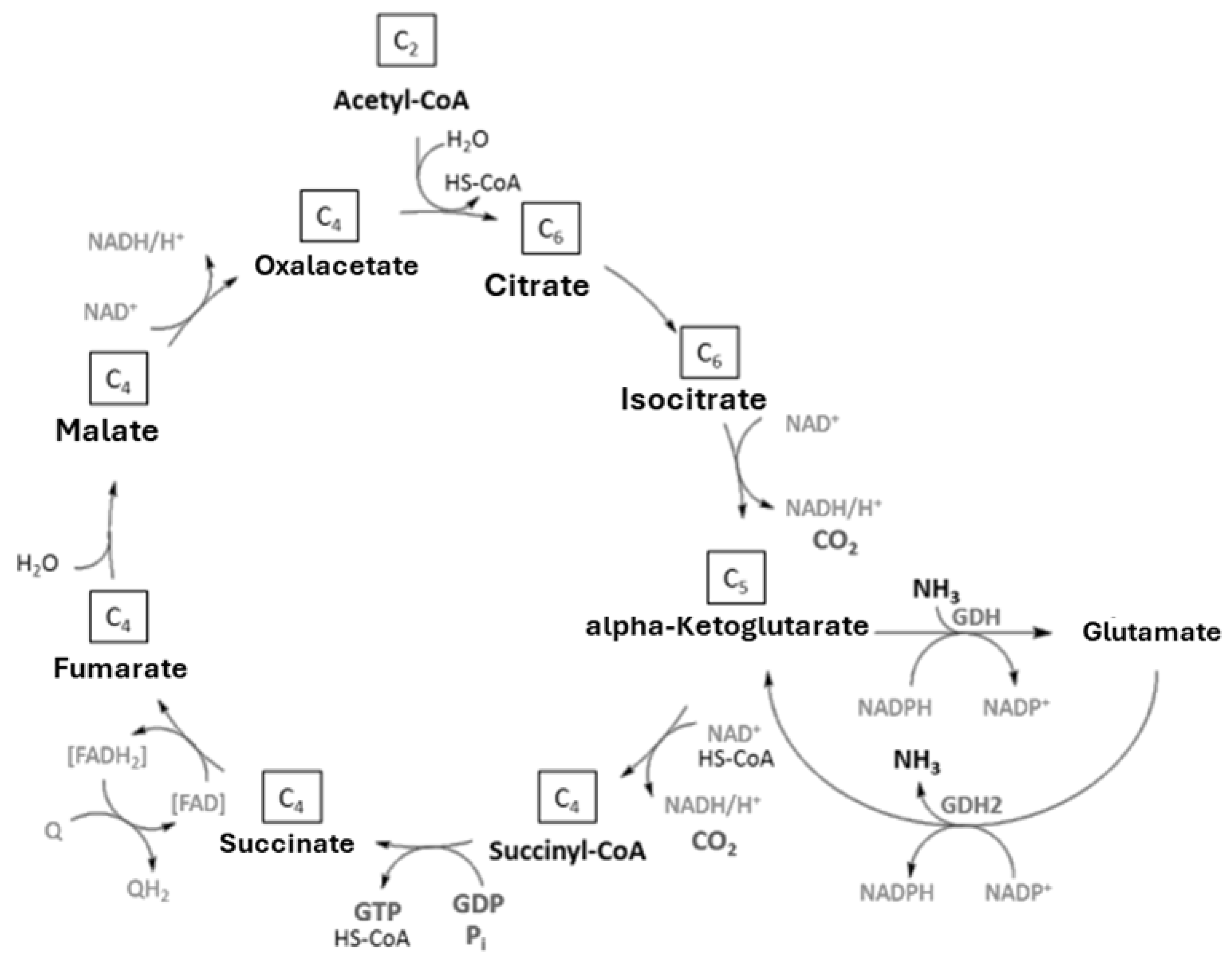 Preprints 176202 g002