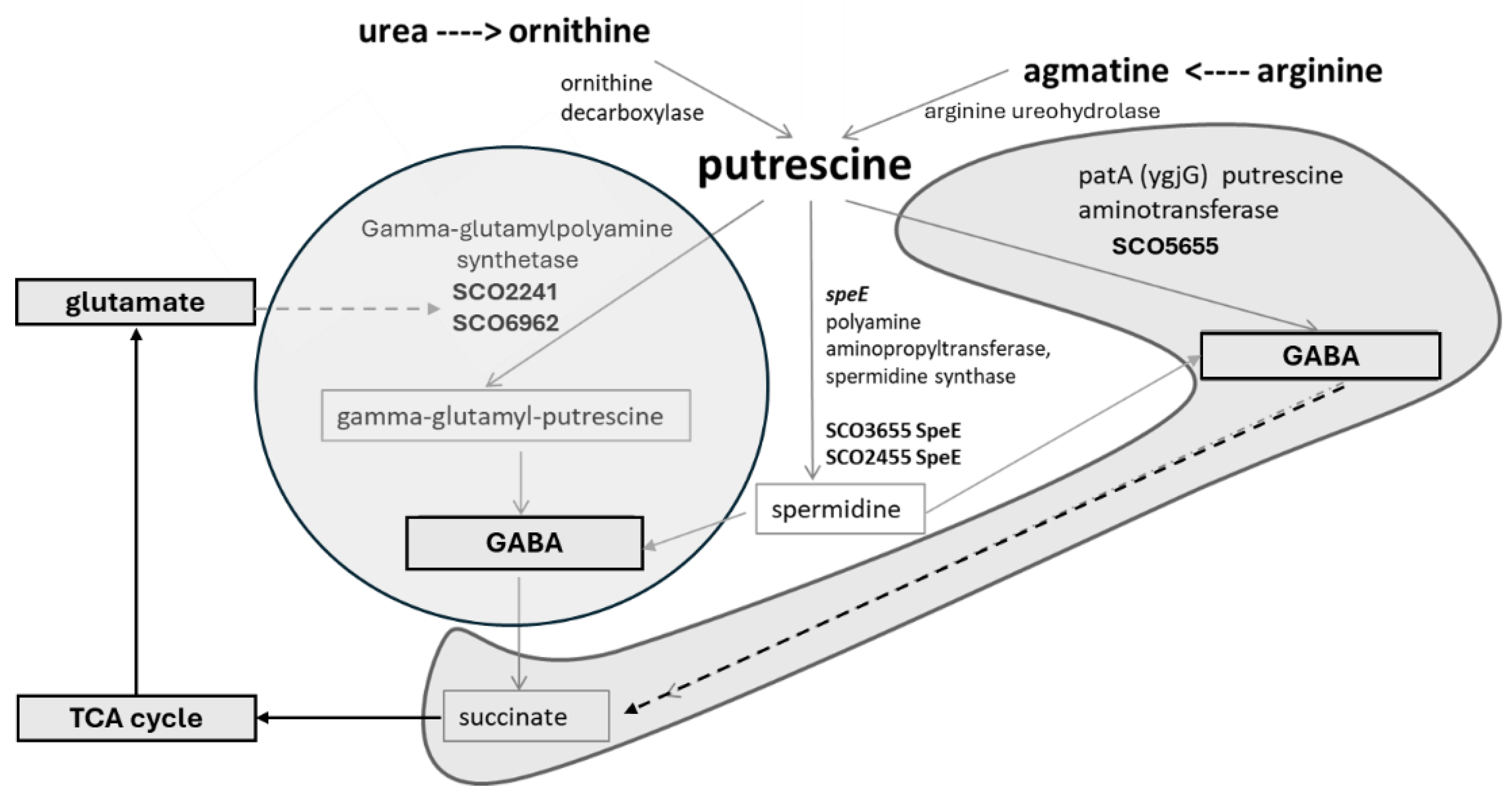 Preprints 176202 g004