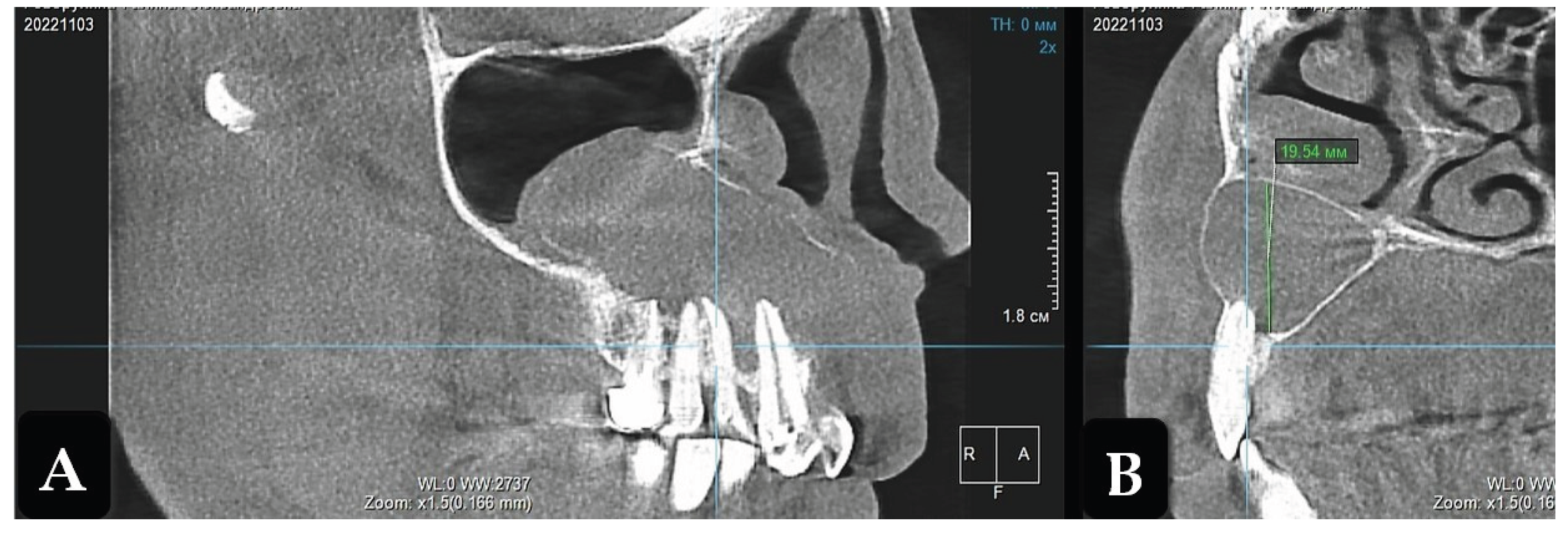 Preprints 159972 g001