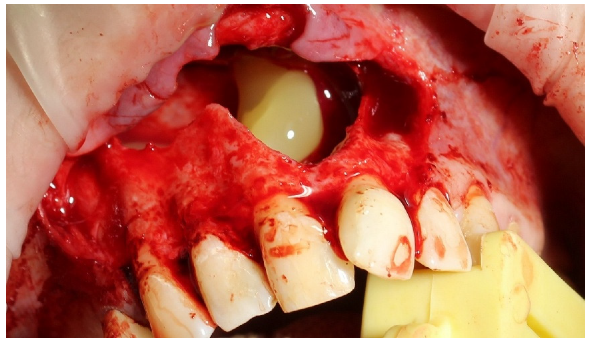 Preprints 159972 g002