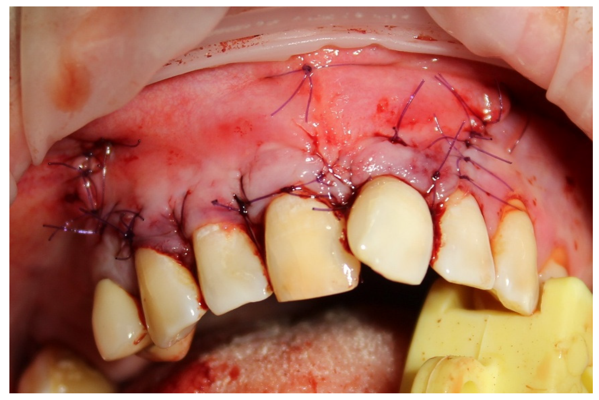 Preprints 159972 g003