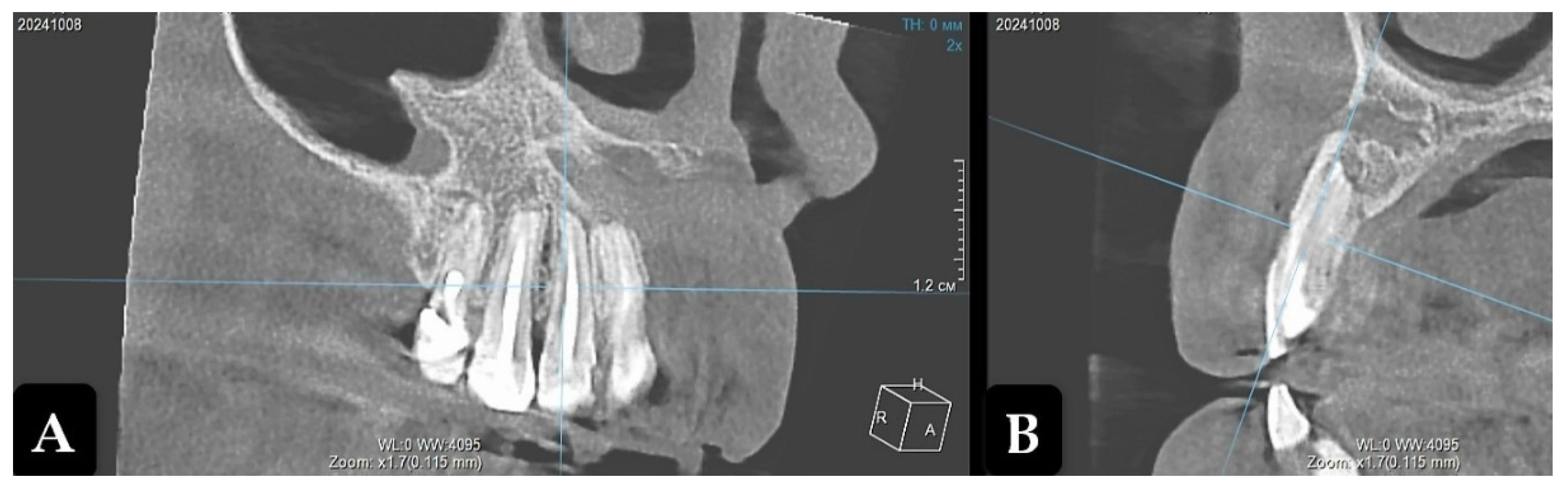 Preprints 159972 g005