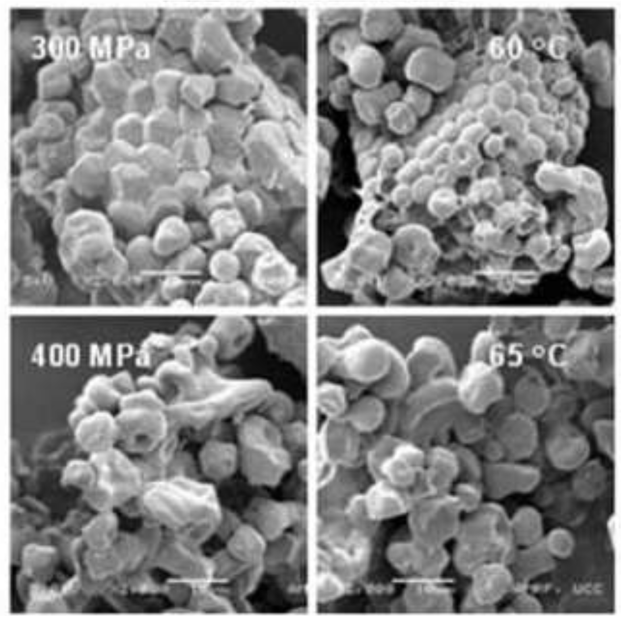 Preprints 77448 g001