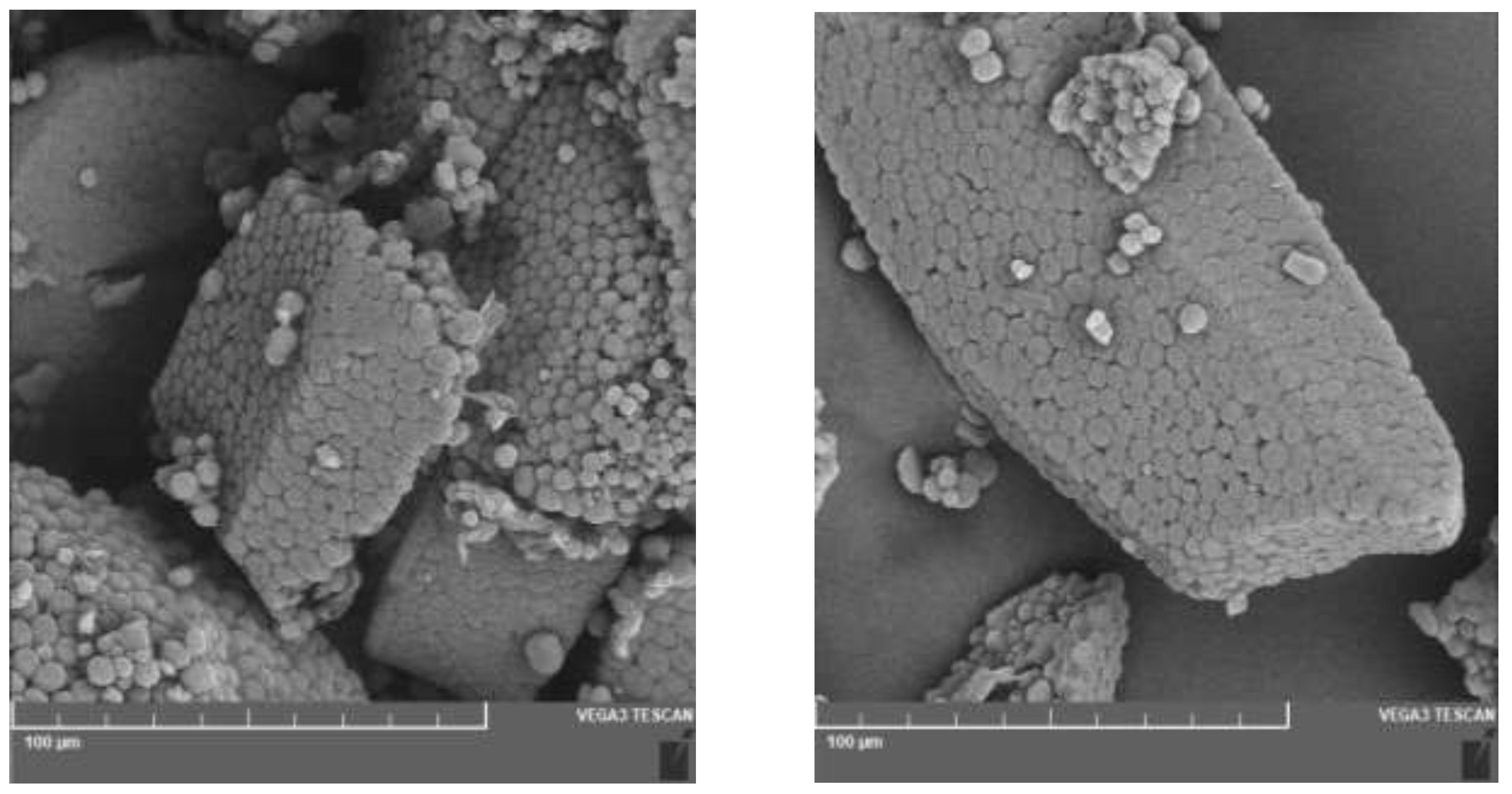 Preprints 77448 g002