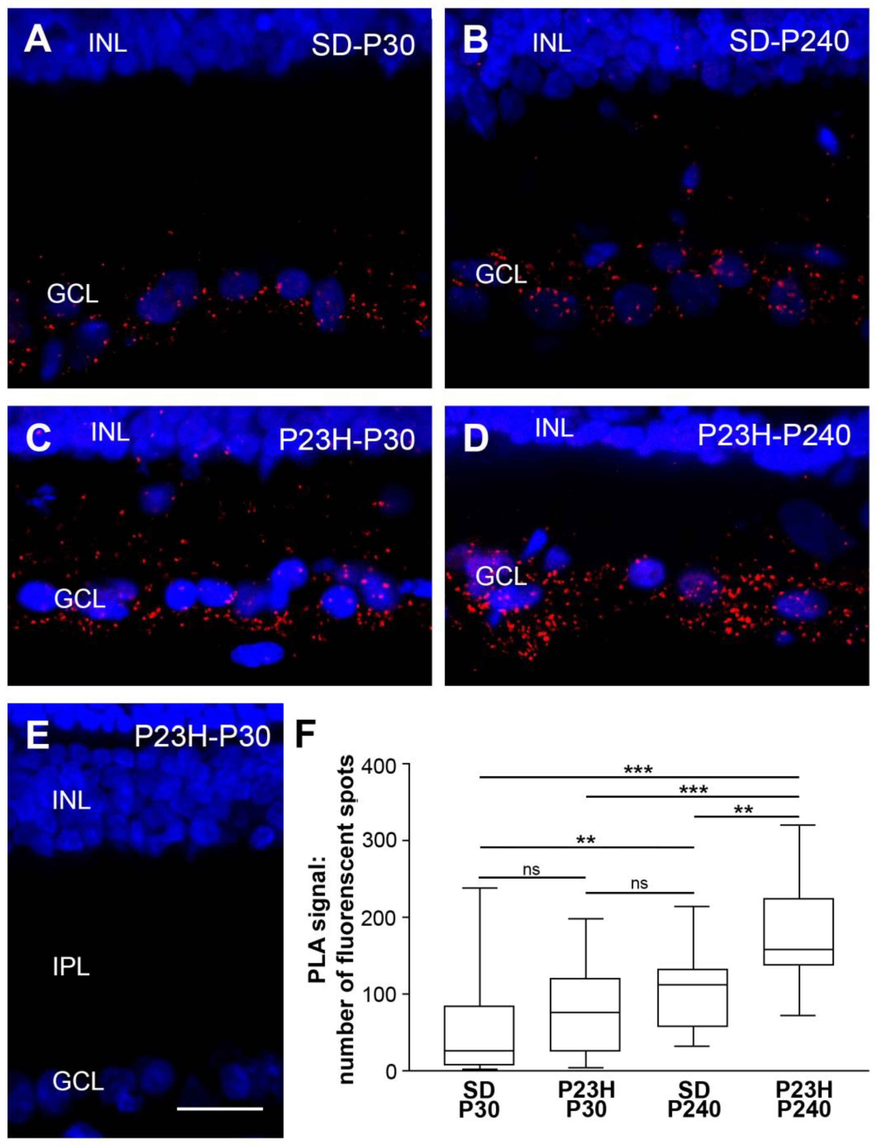 Preprints 108245 g002