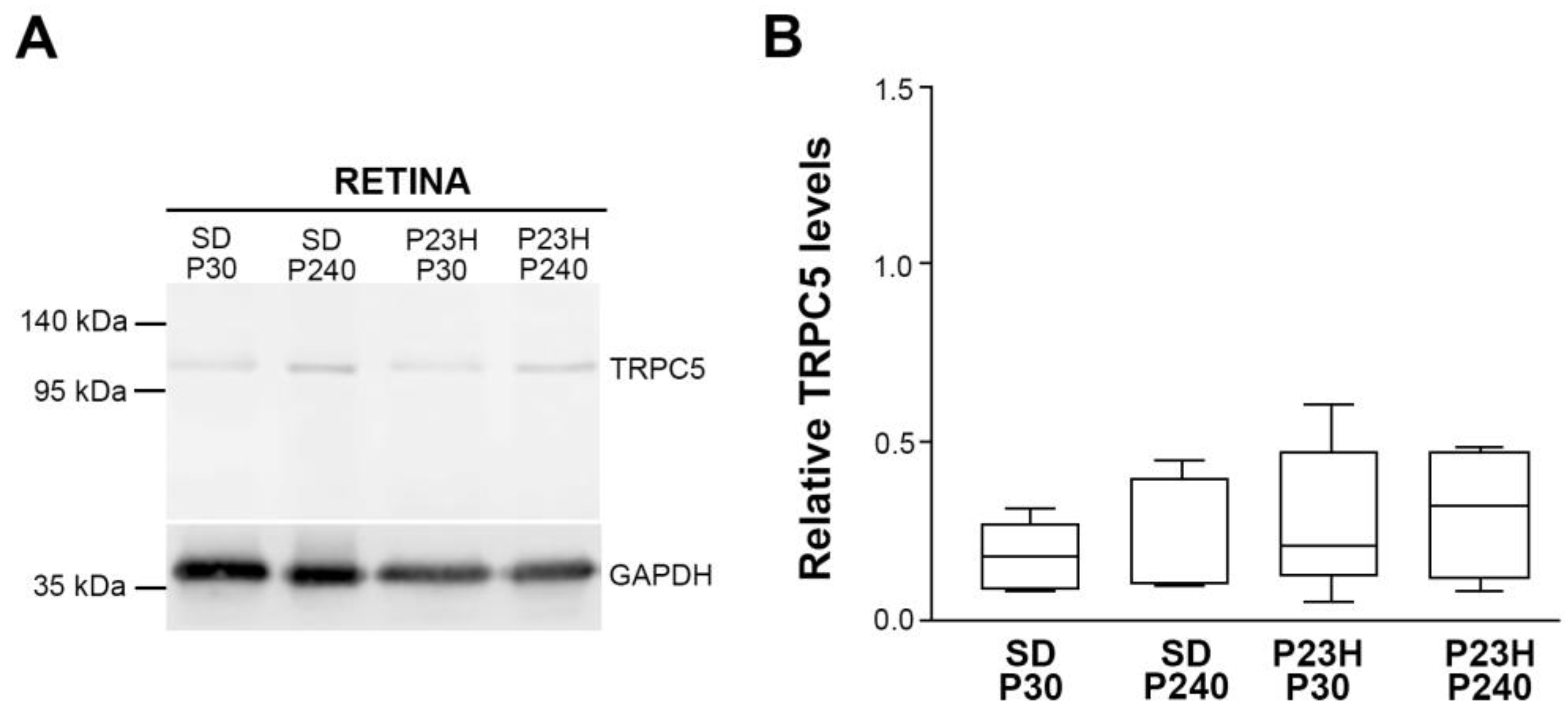 Preprints 108245 g003