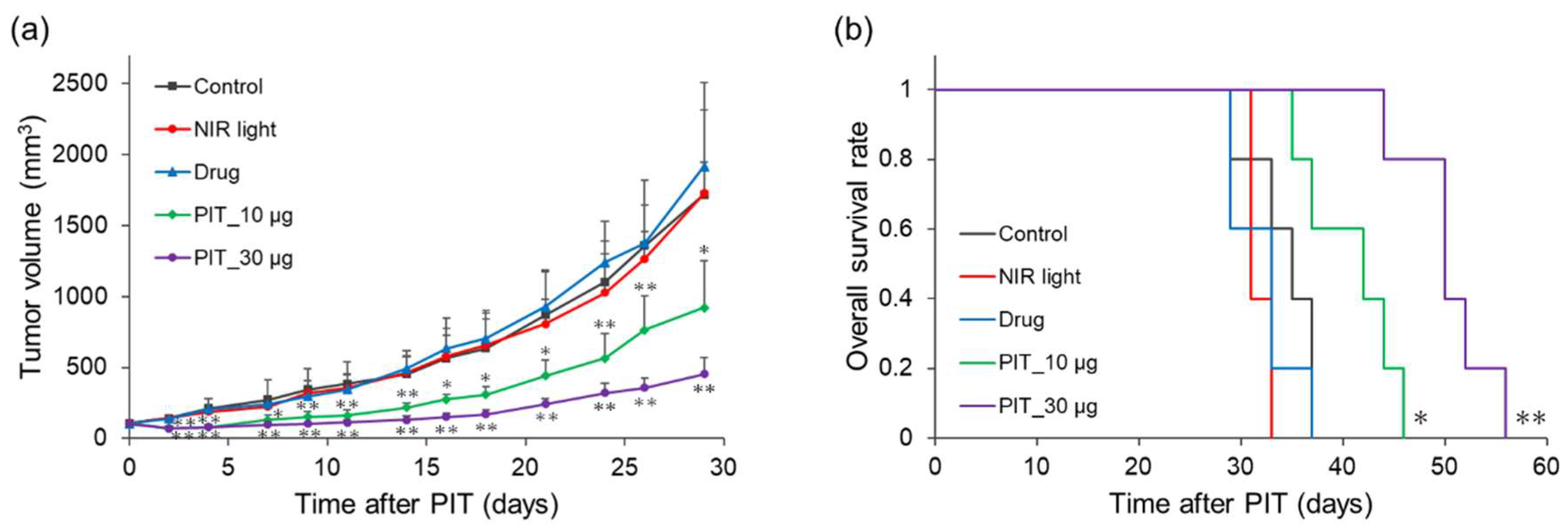 Preprints 182474 g006