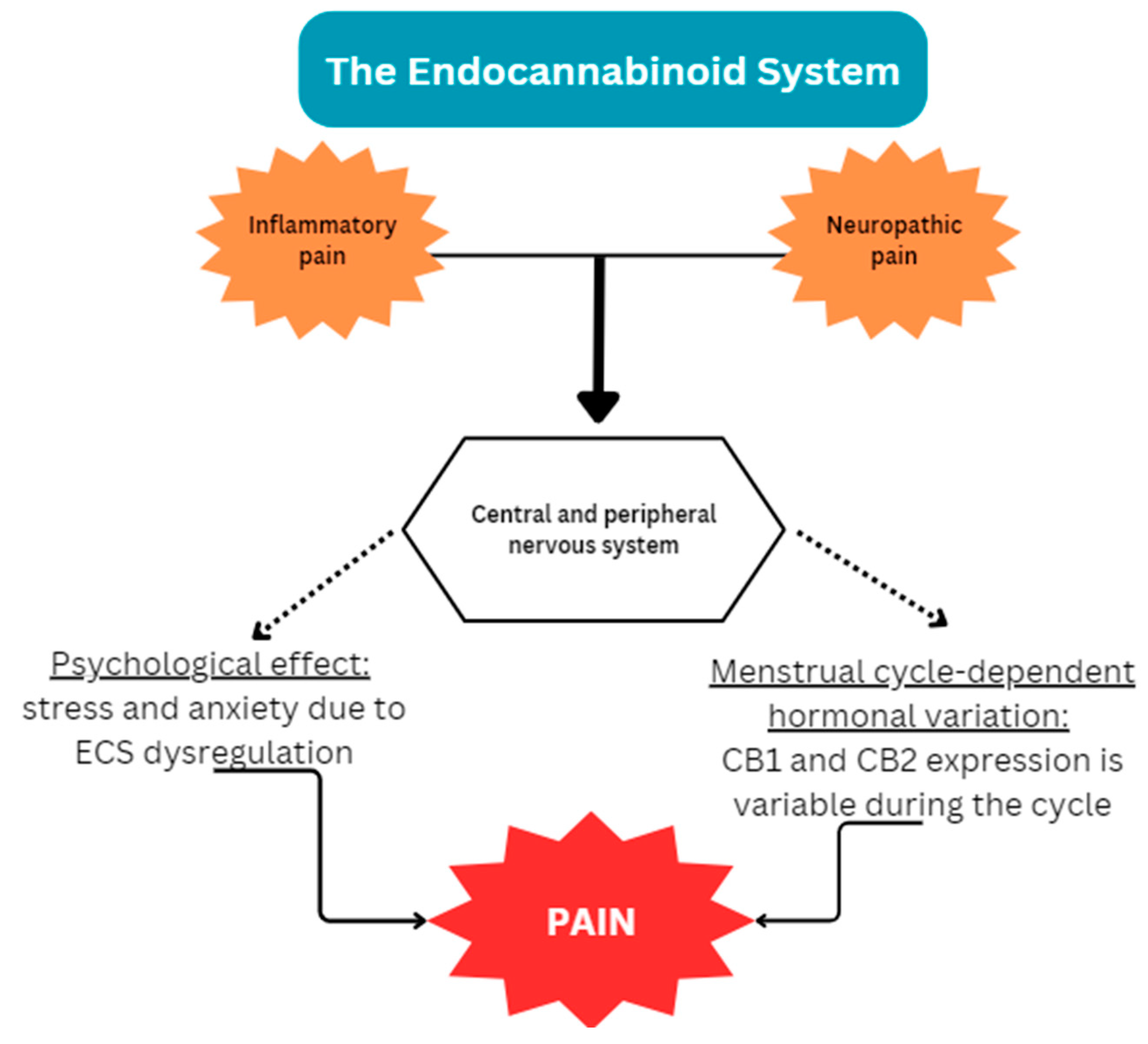 Preprints 86914 g001