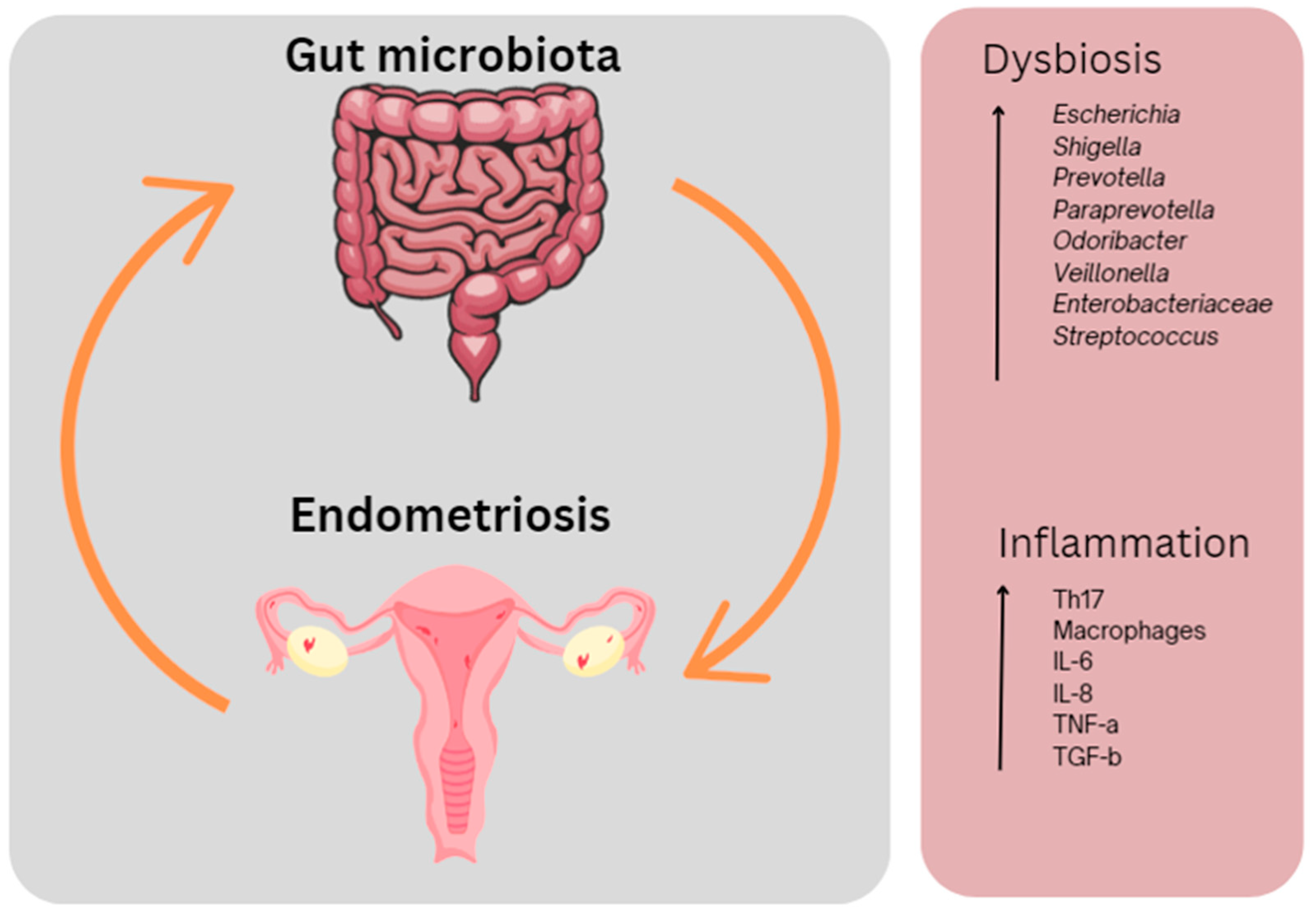 Preprints 86914 g003