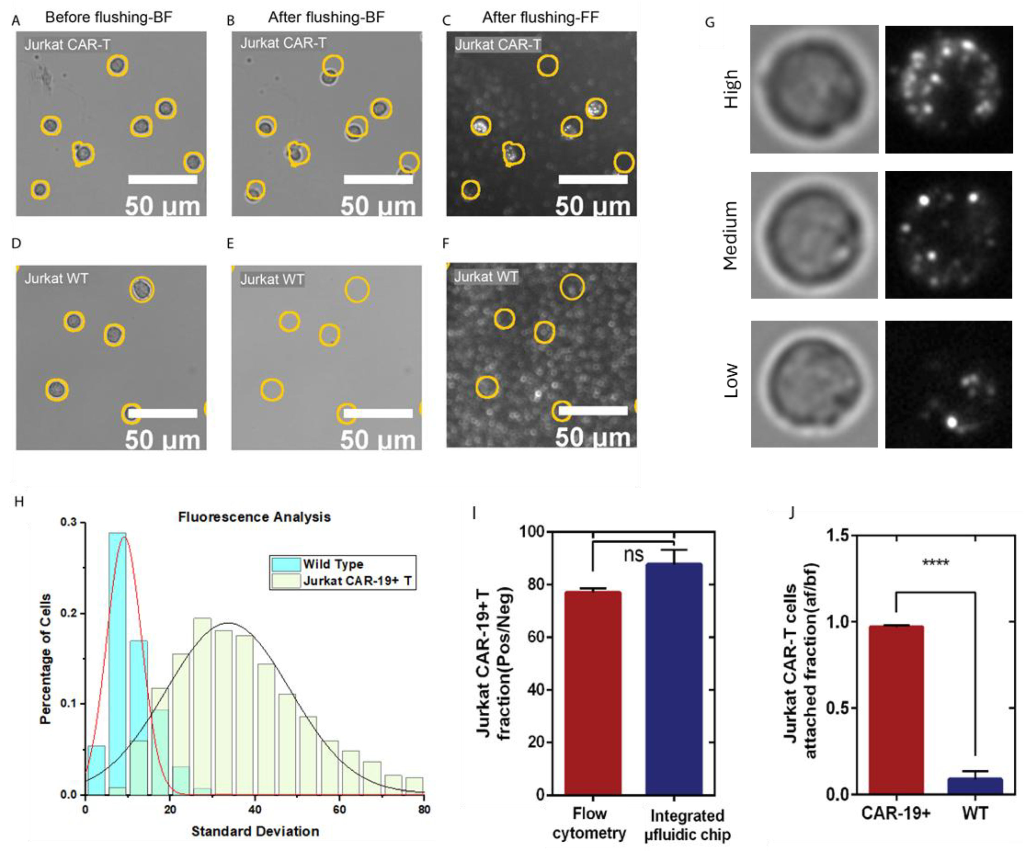 Preprints 195505 g003