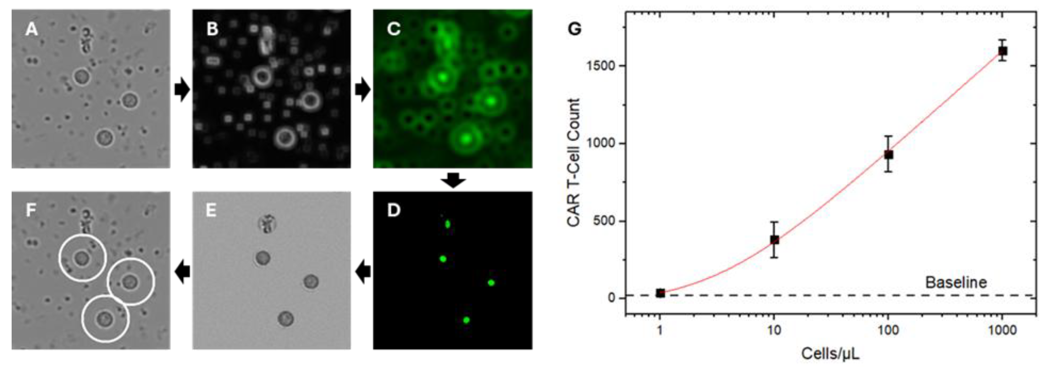 Preprints 195505 g004