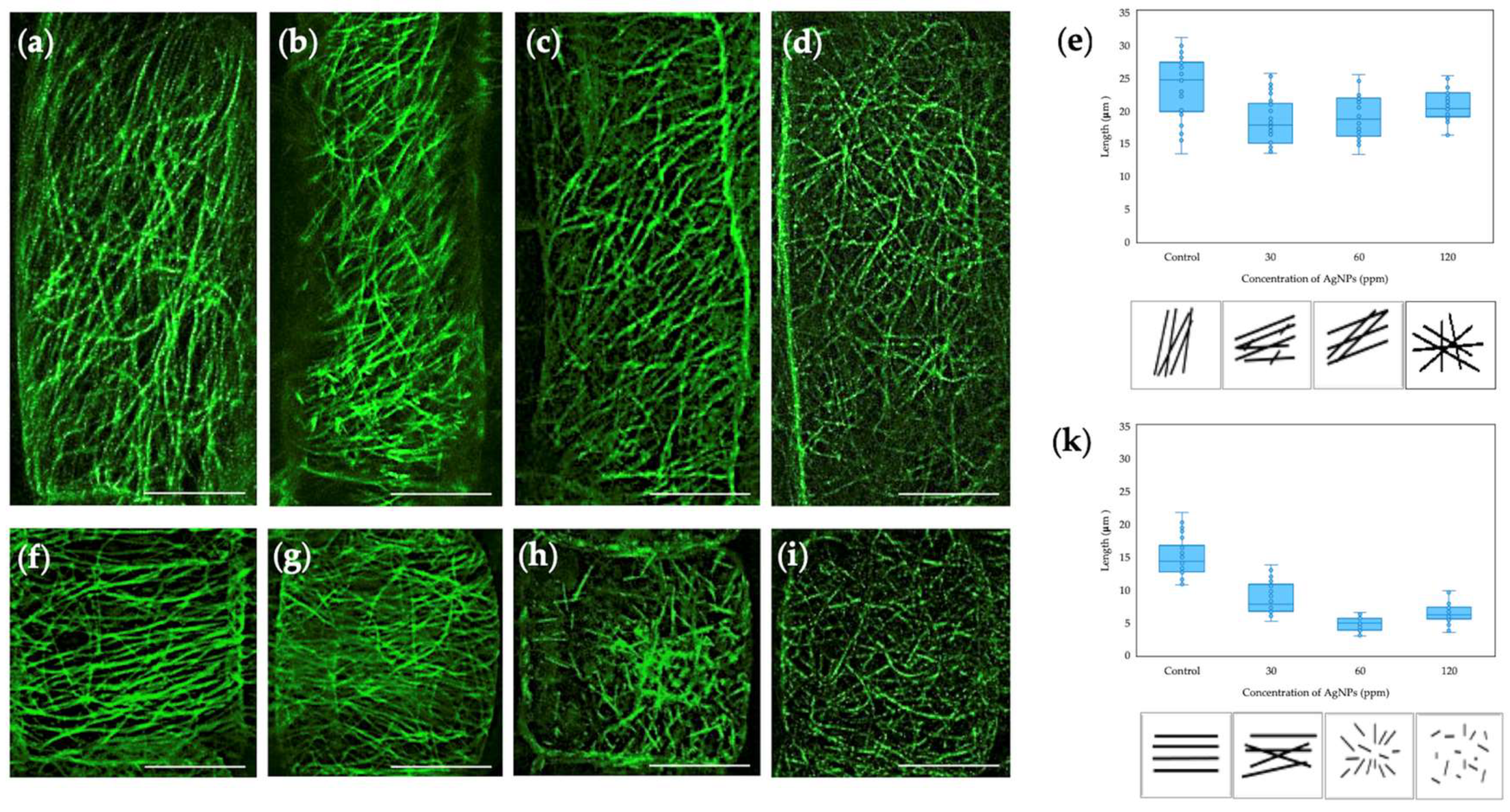 Preprints 157586 g001