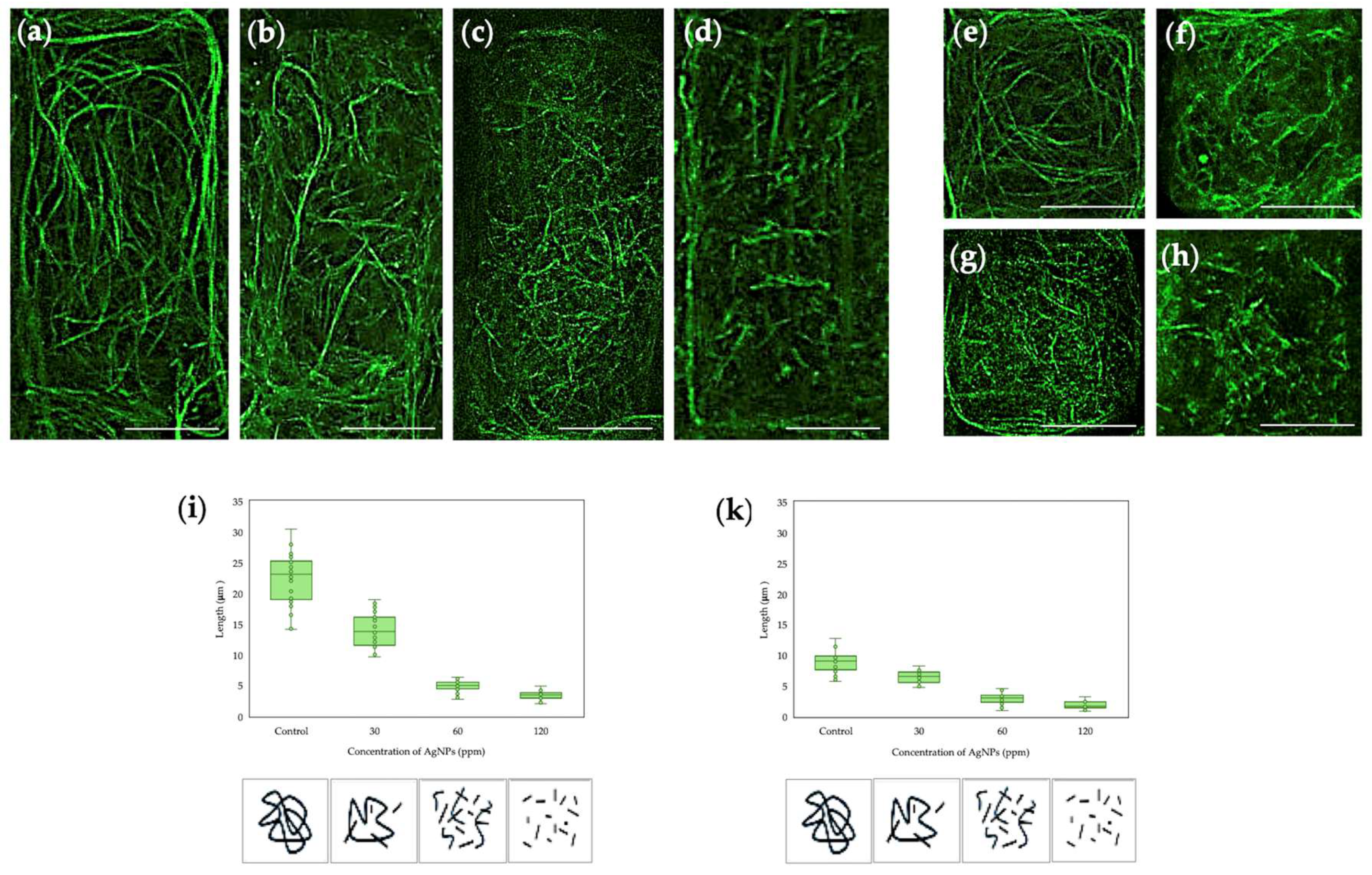 Preprints 157586 g002