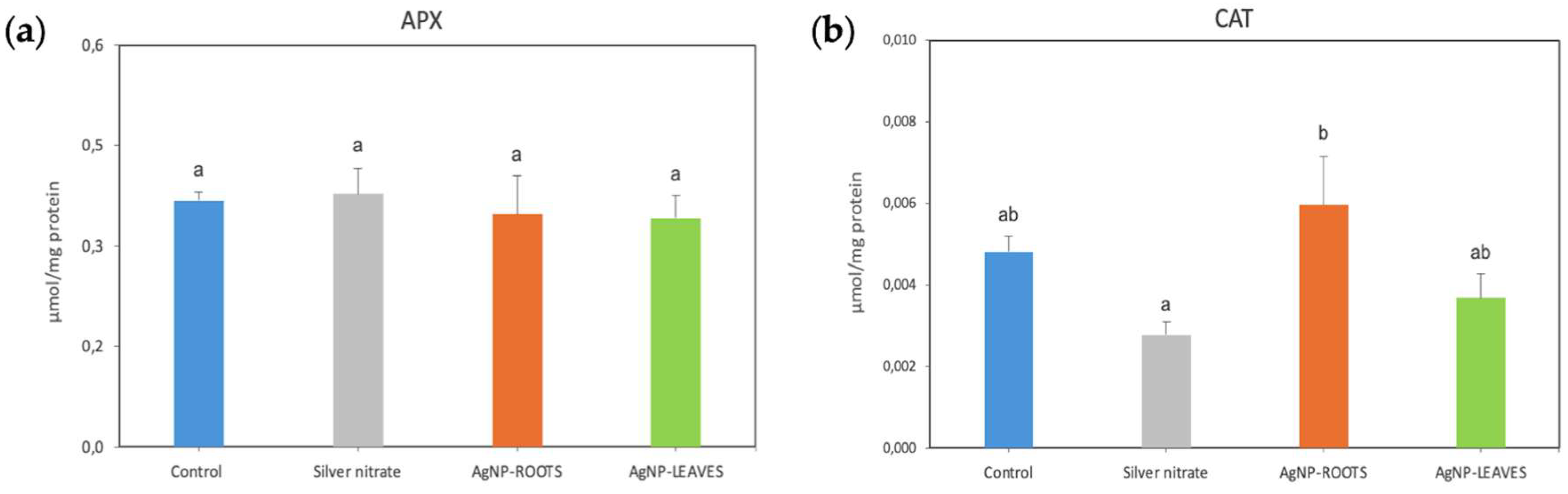Preprints 157586 g005