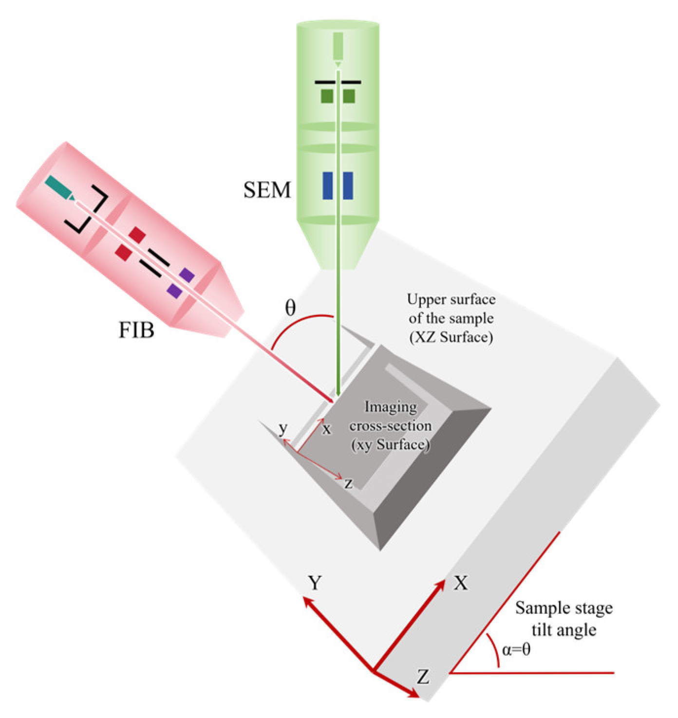 Preprints 204156 g001 Preprints 204156 g001