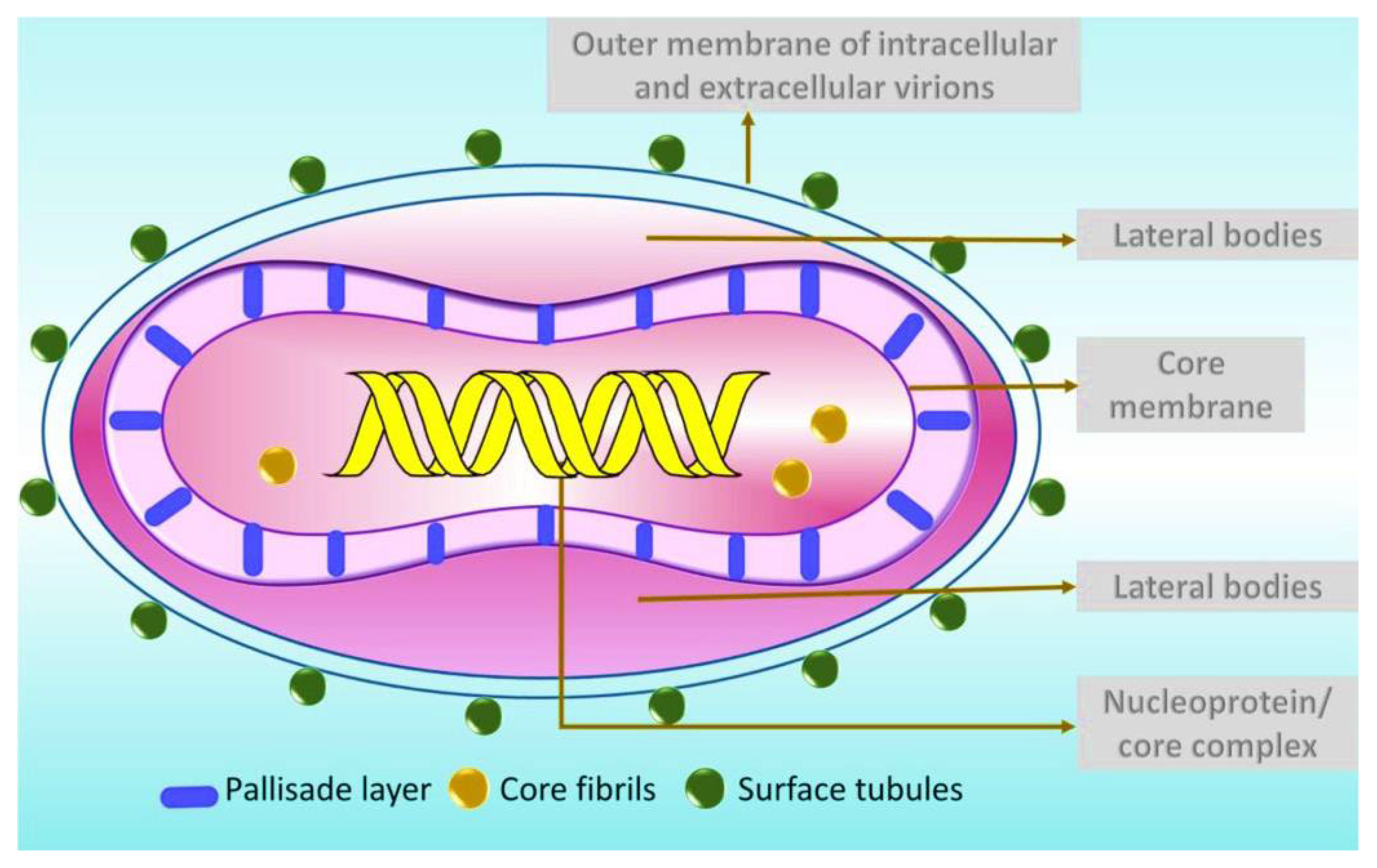Preprints 153444 g001
