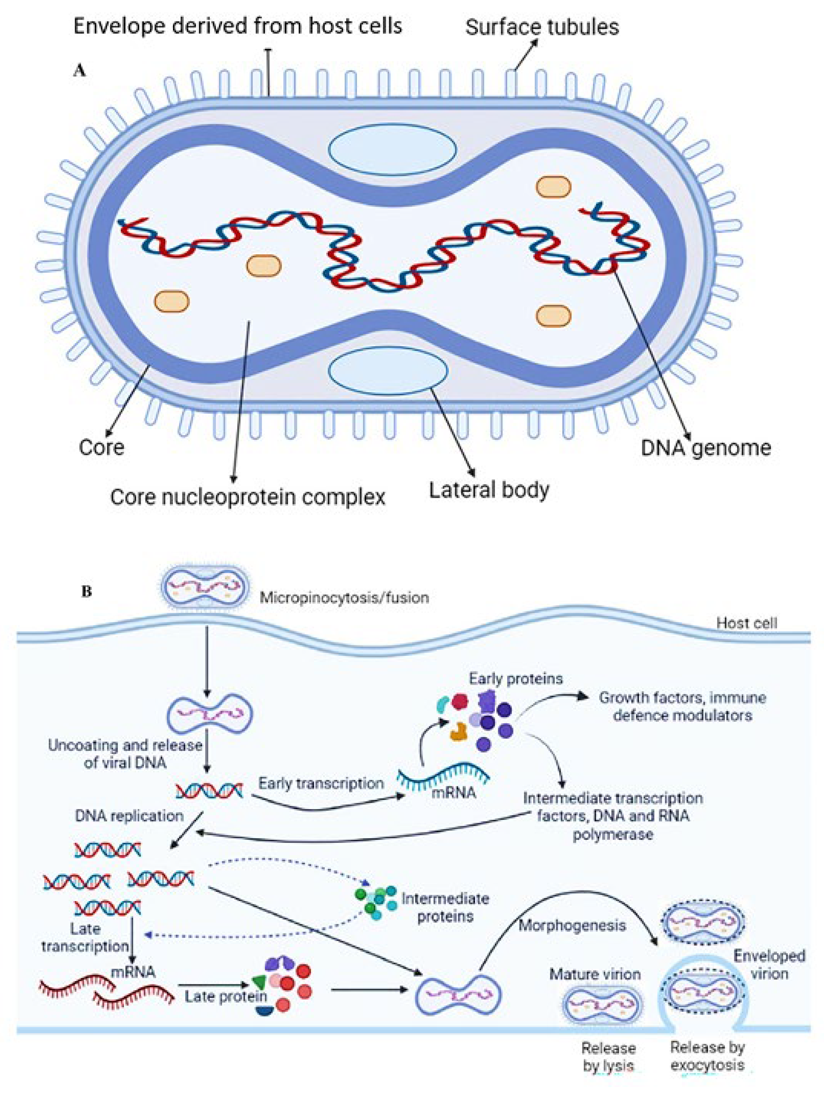 Preprints 153444 g002