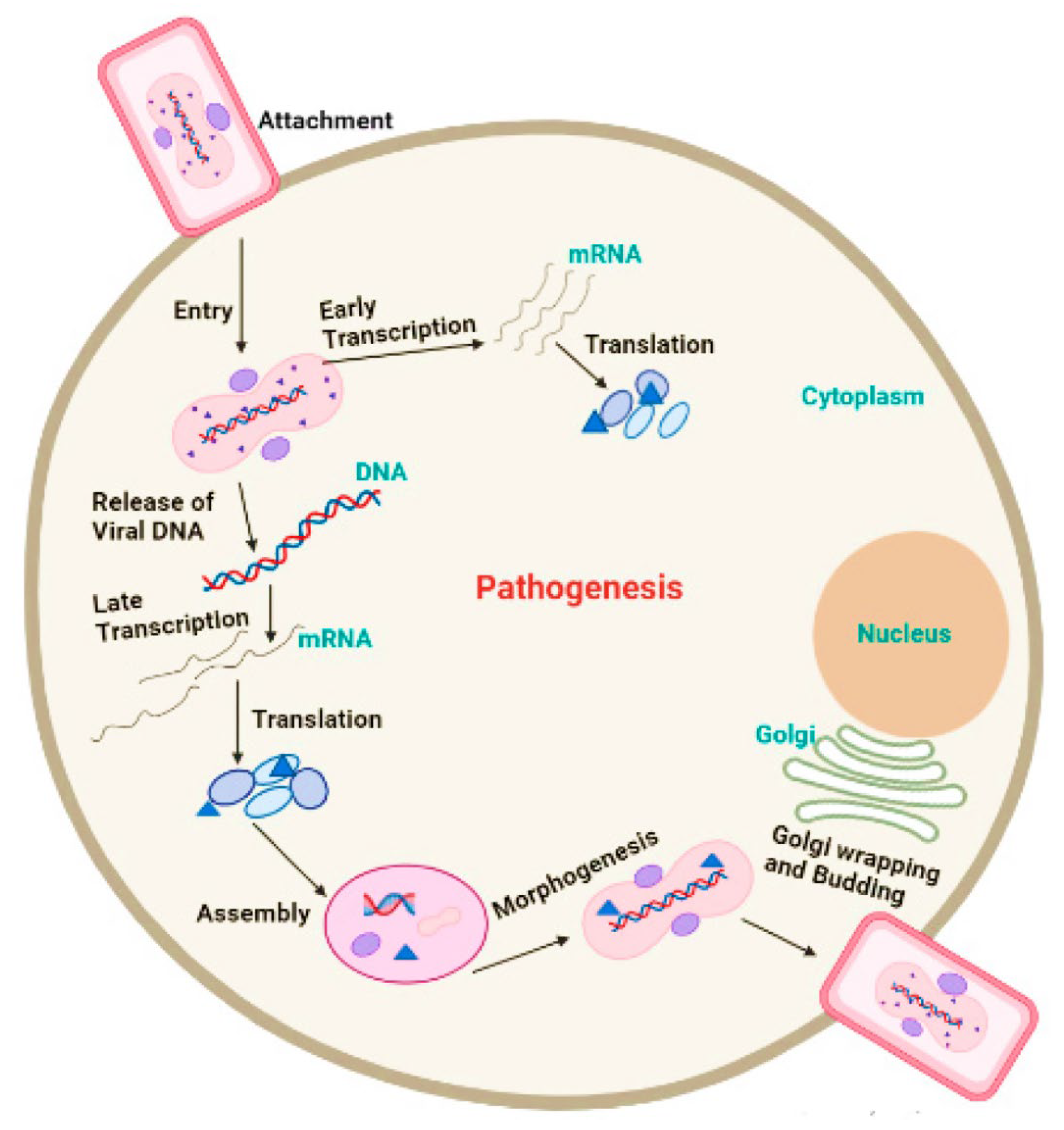 Preprints 153444 g003