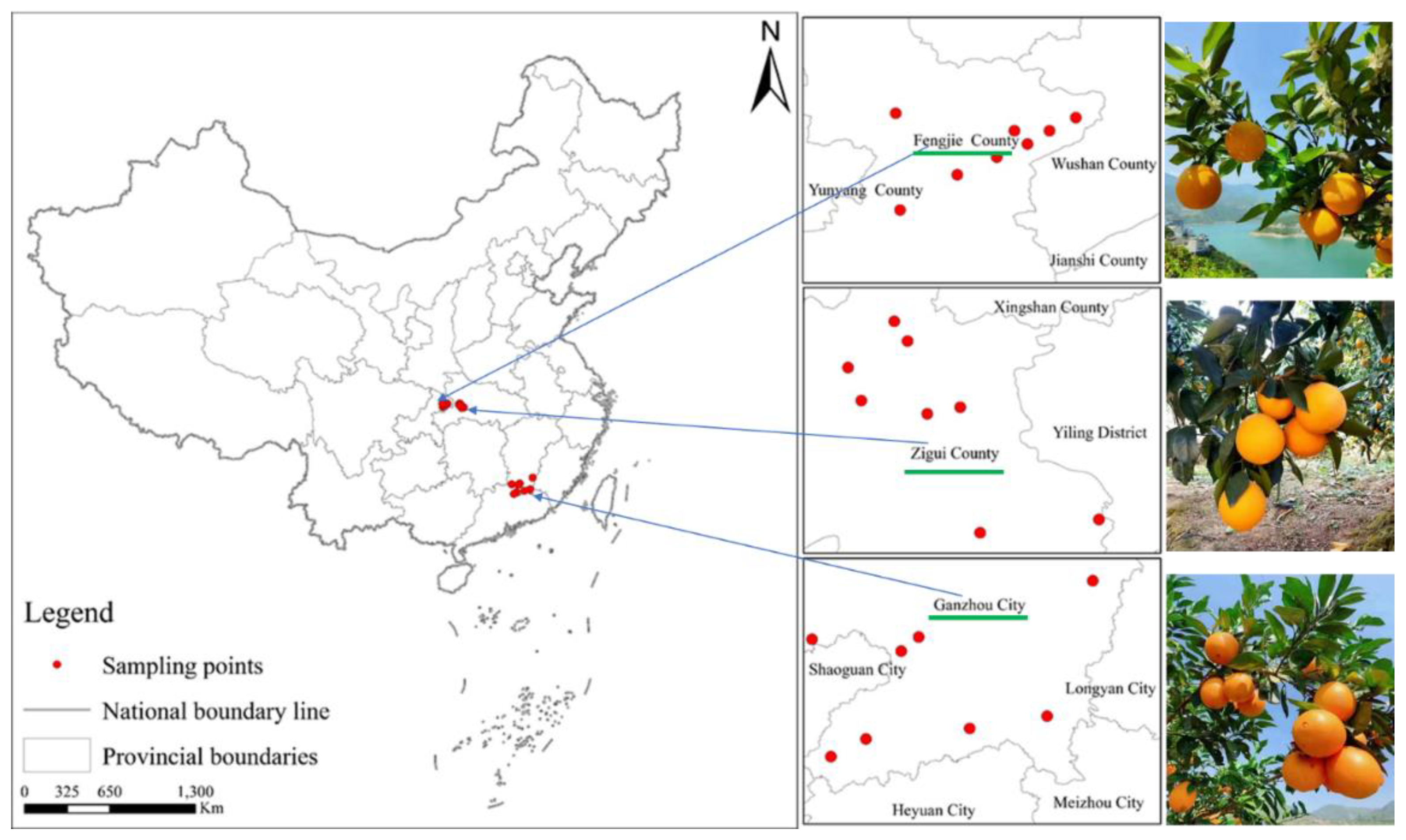 Preprints 121948 g001