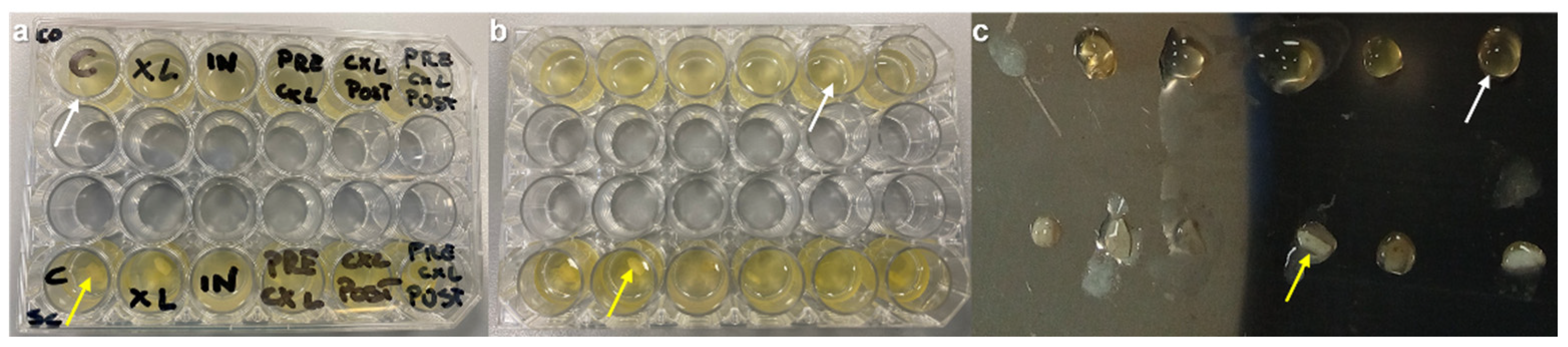 Preprints 218922 g001 Preprints 218922 g001