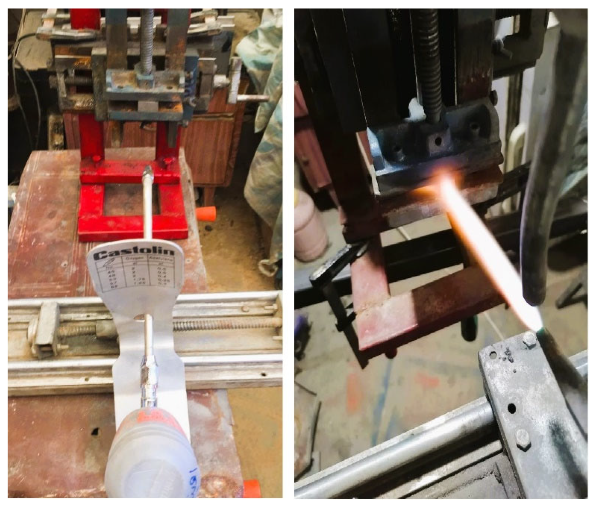 Preprints 152638 g002