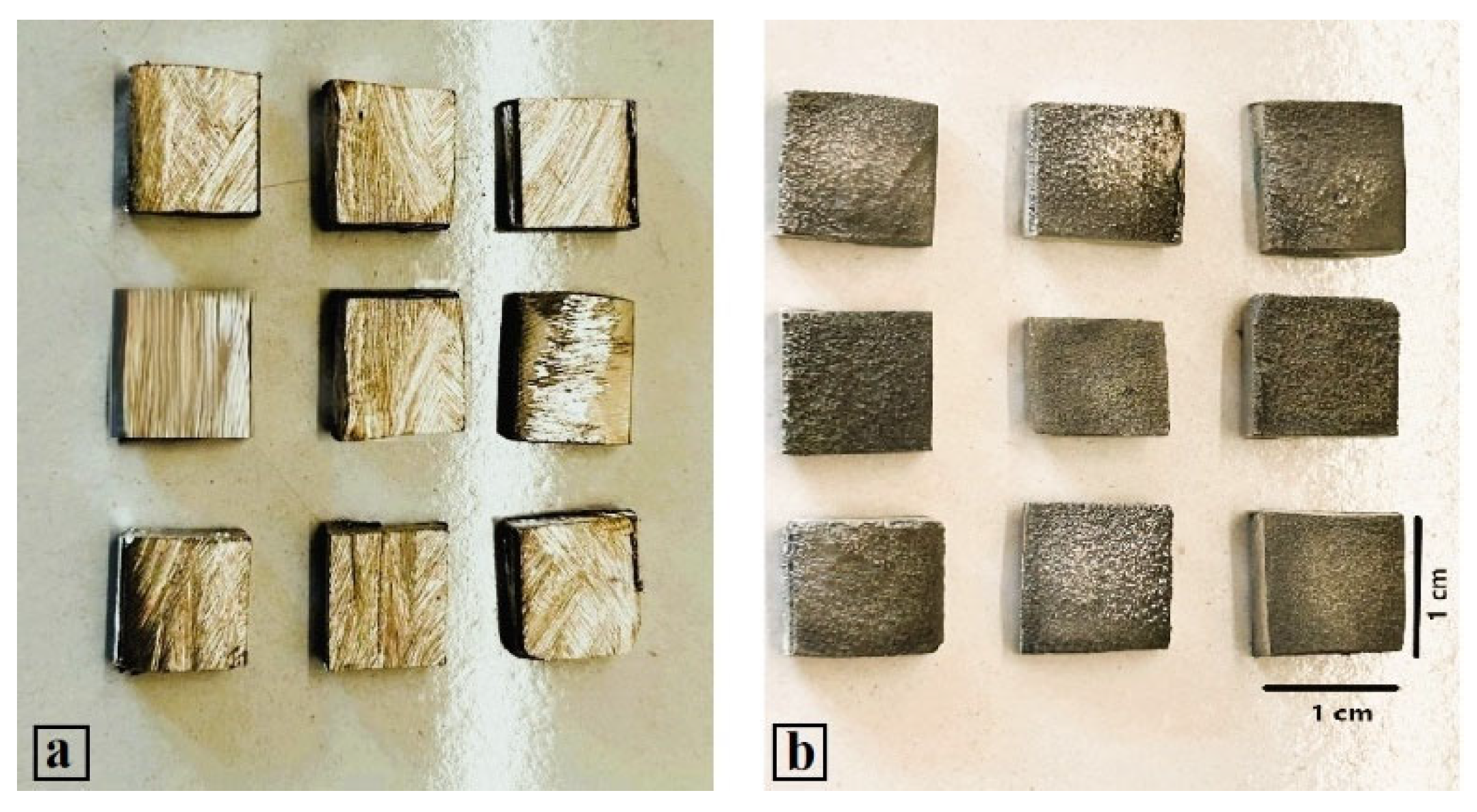 Preprints 152638 g003