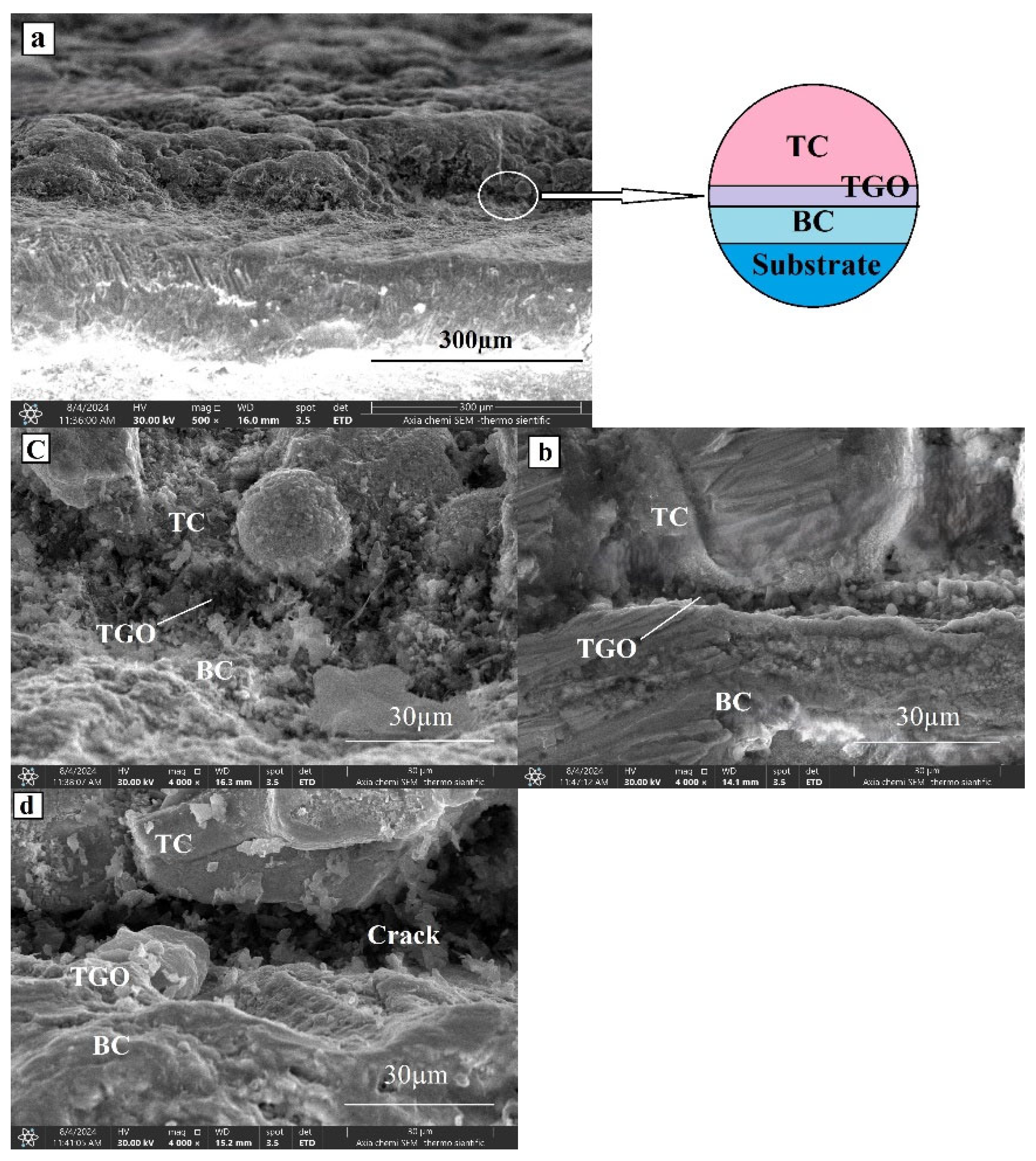 Preprints 152638 g012