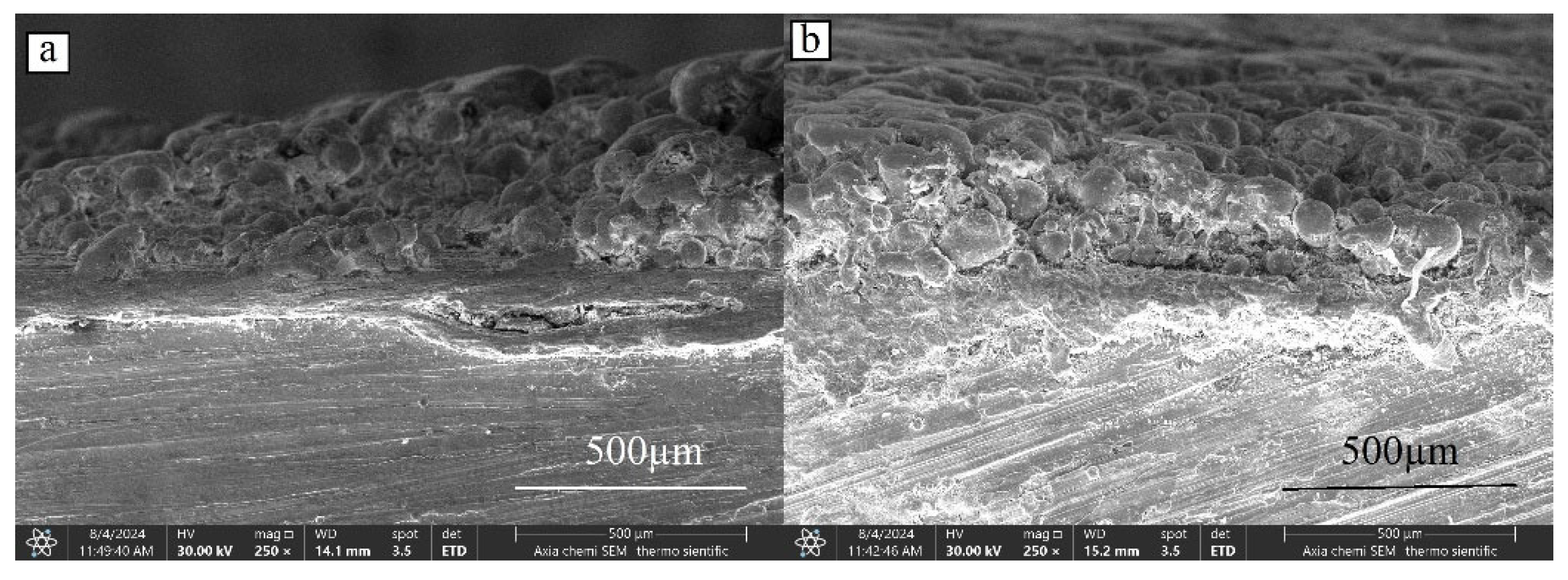 Preprints 152638 g014a