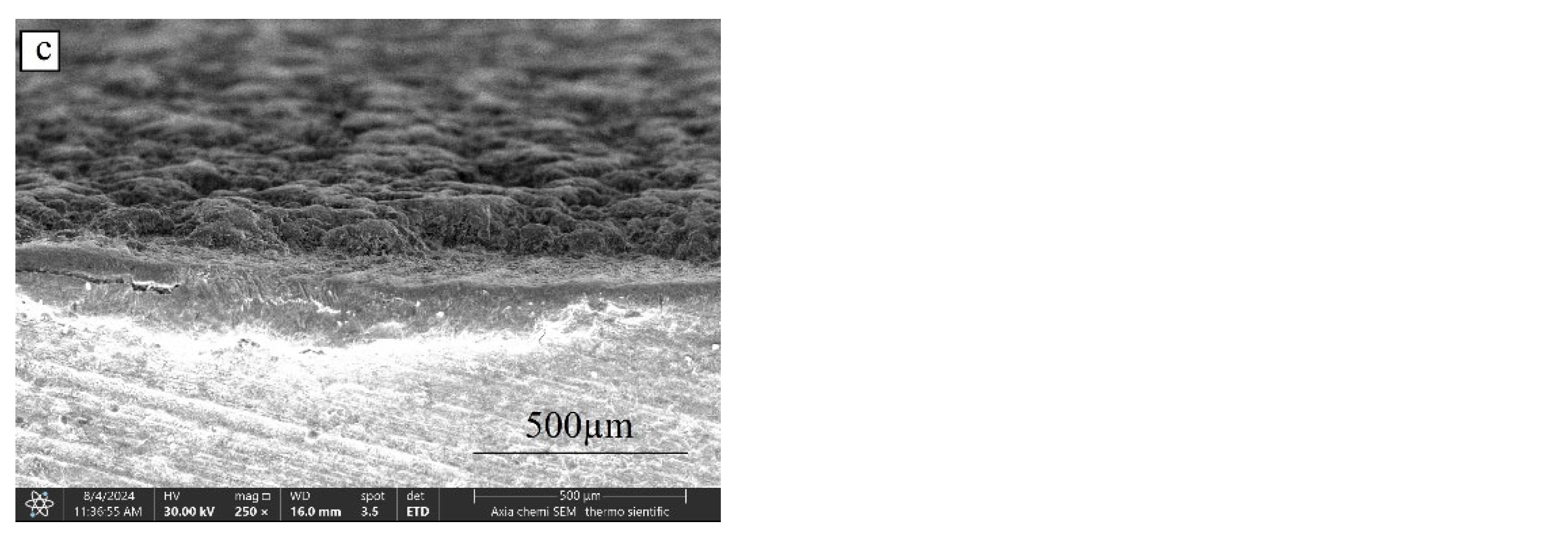 Preprints 152638 g014b