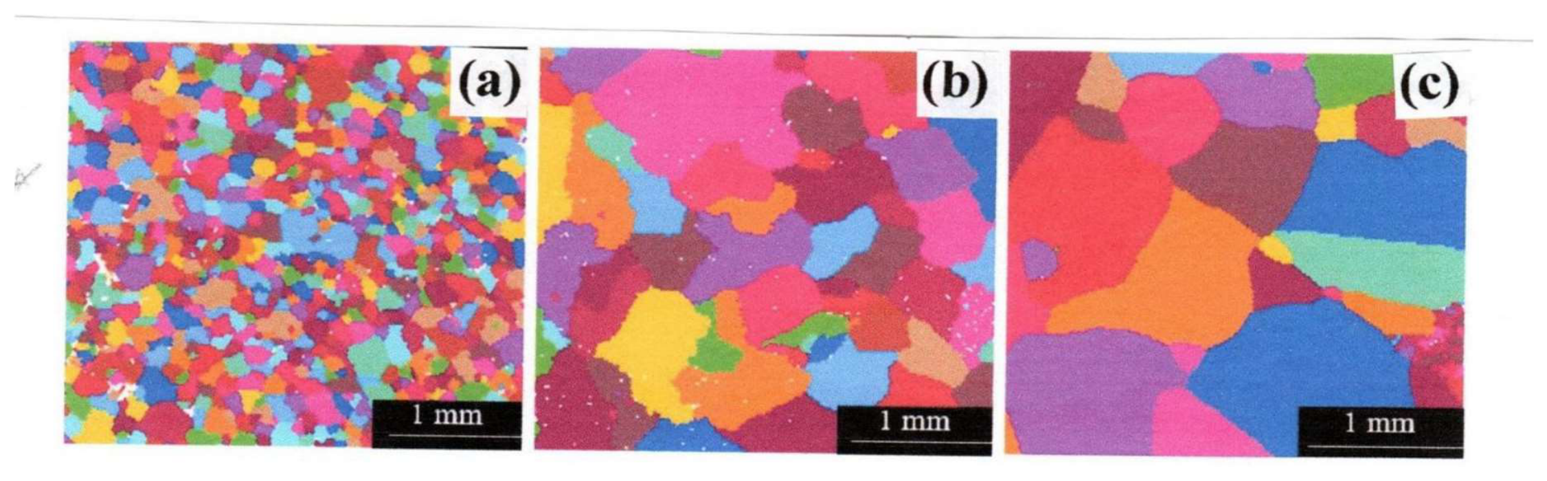 Preprints 217650 g004