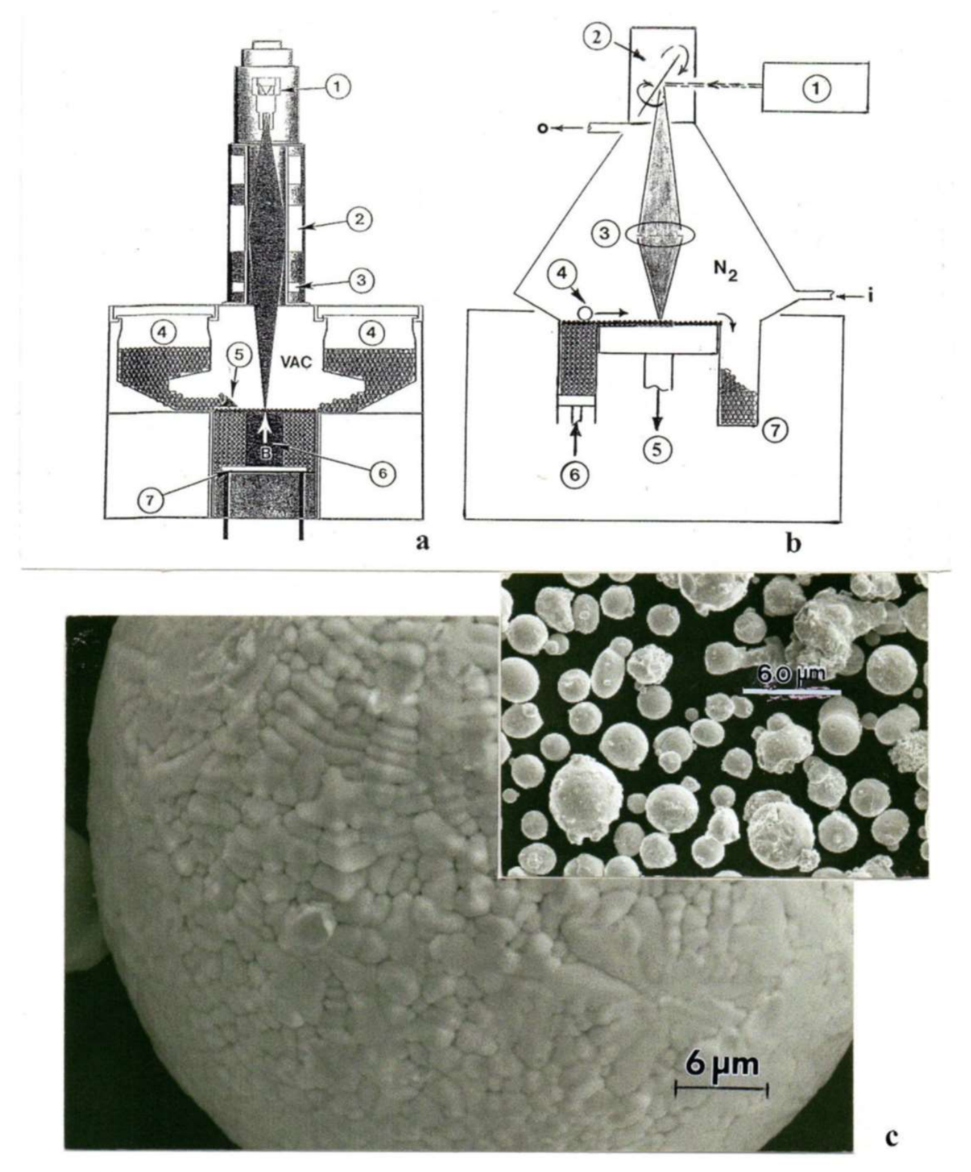 Preprints 217650 g014