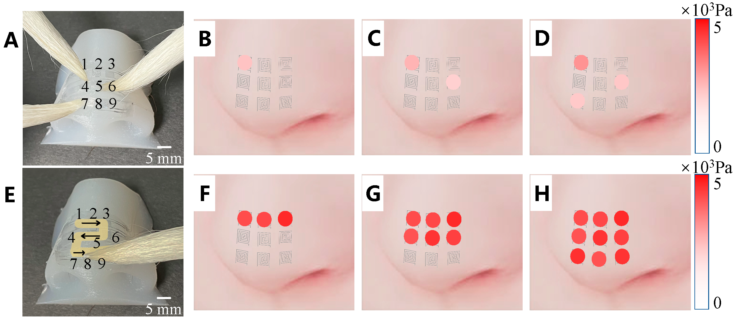 Preprints 141022 g006