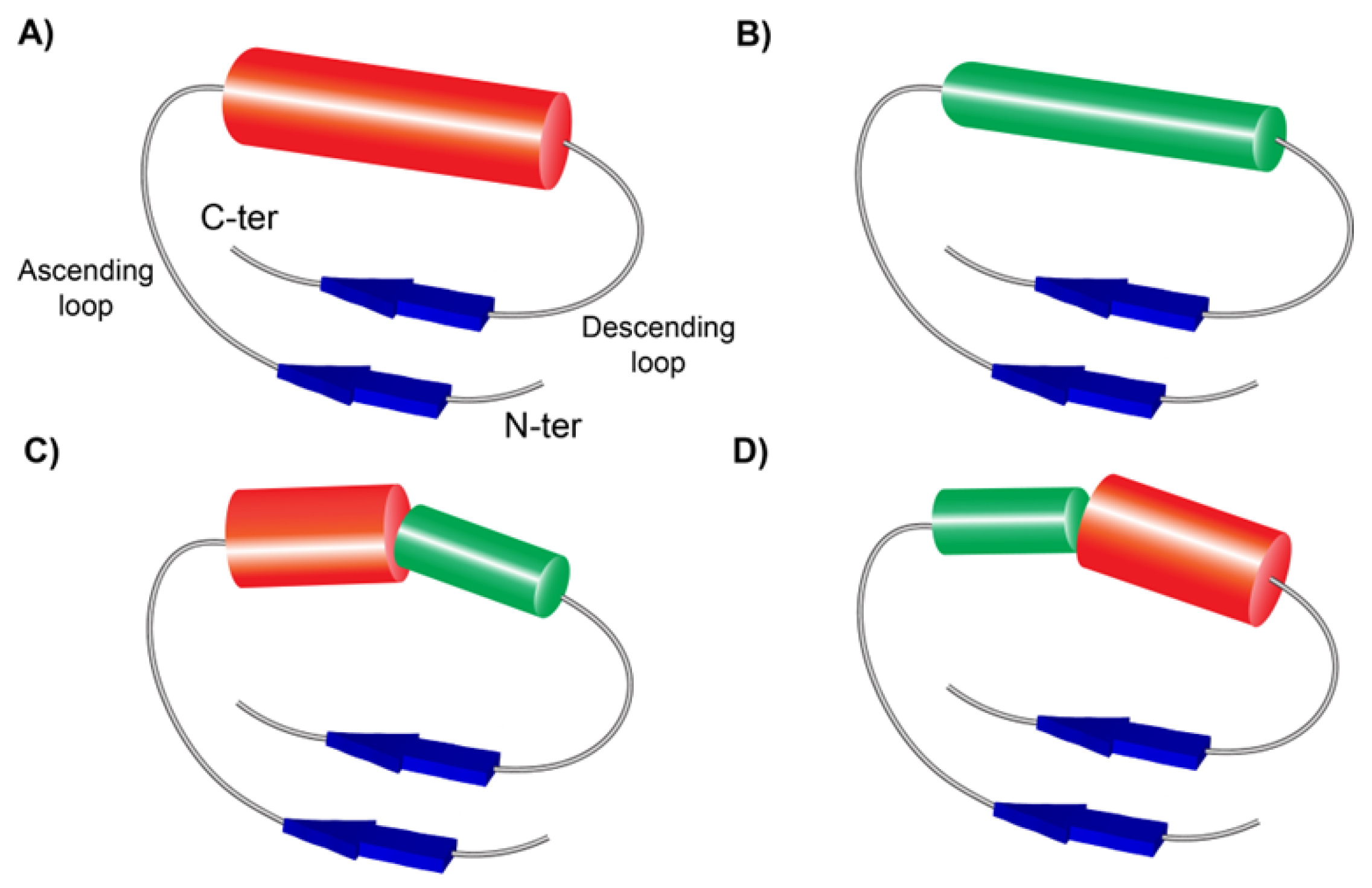Preprints 196169 g001