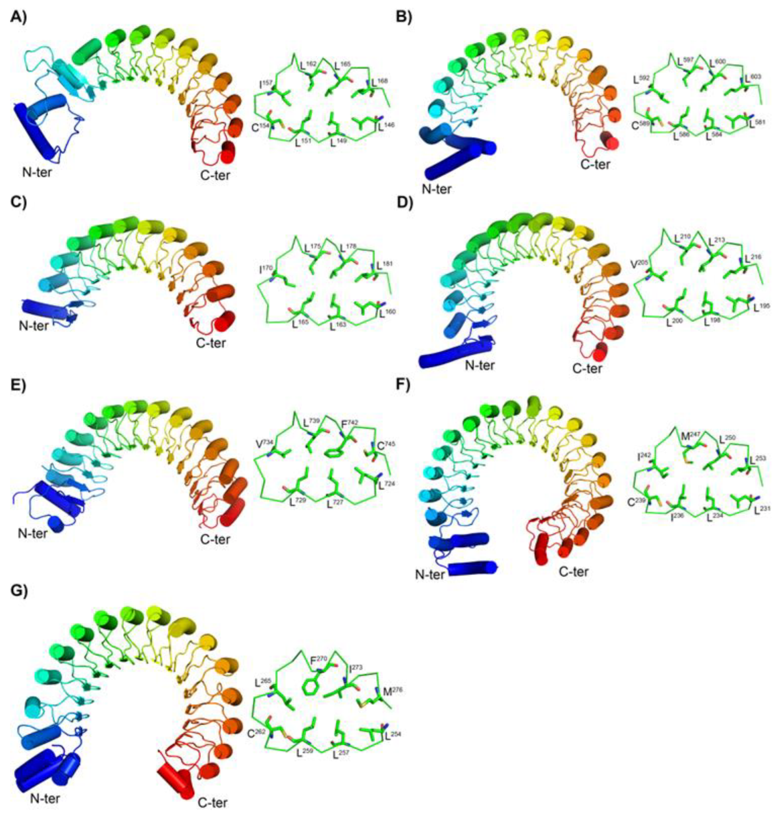 Preprints 196169 g002