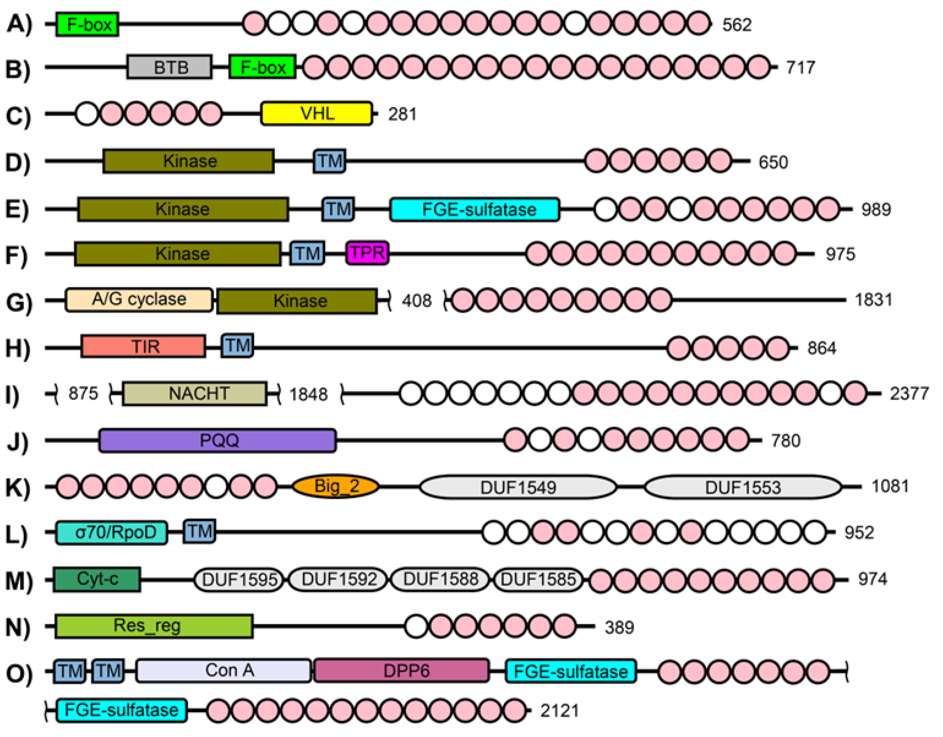 Preprints 196169 g004