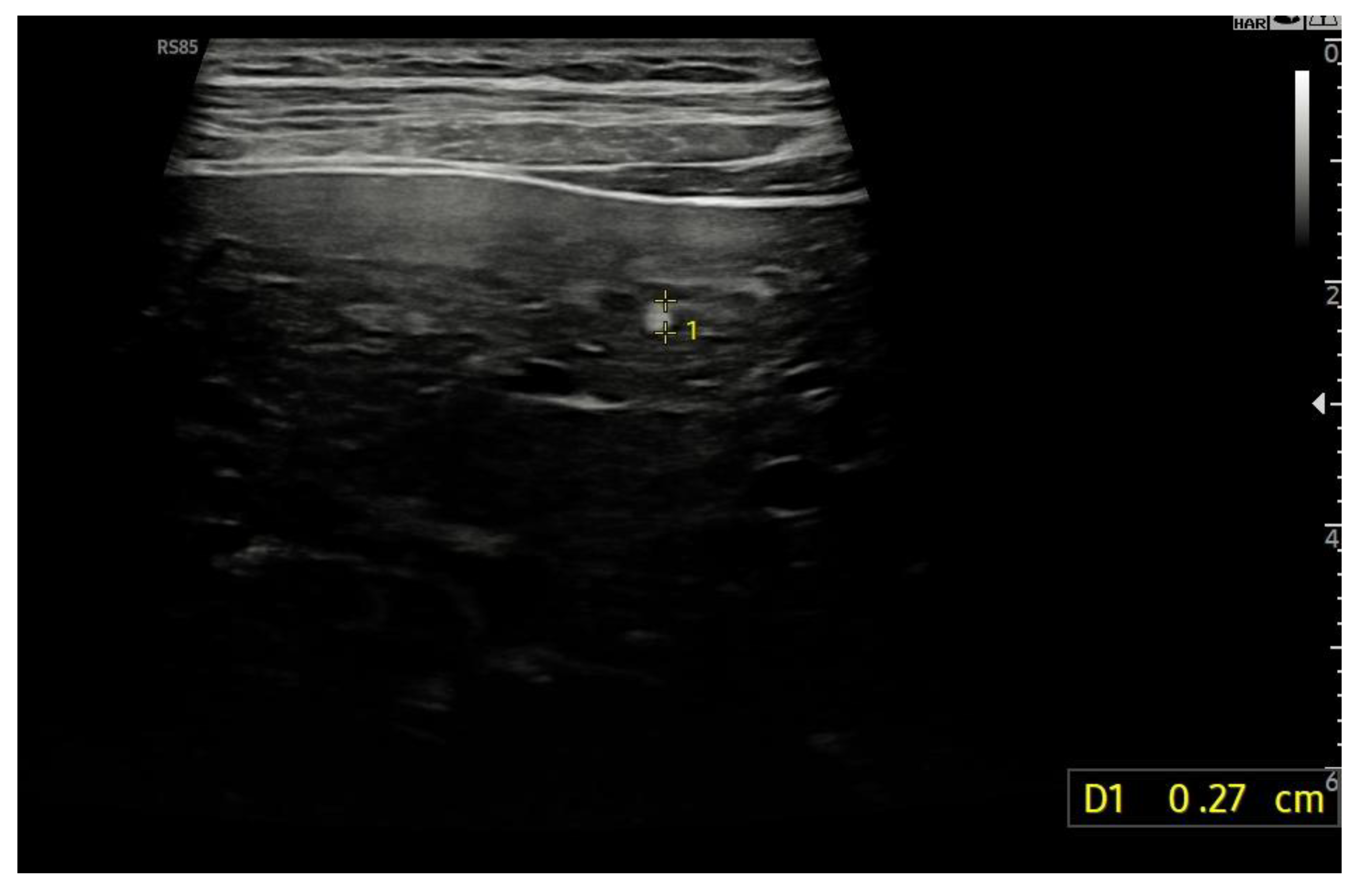 Preprints 181001 g015
