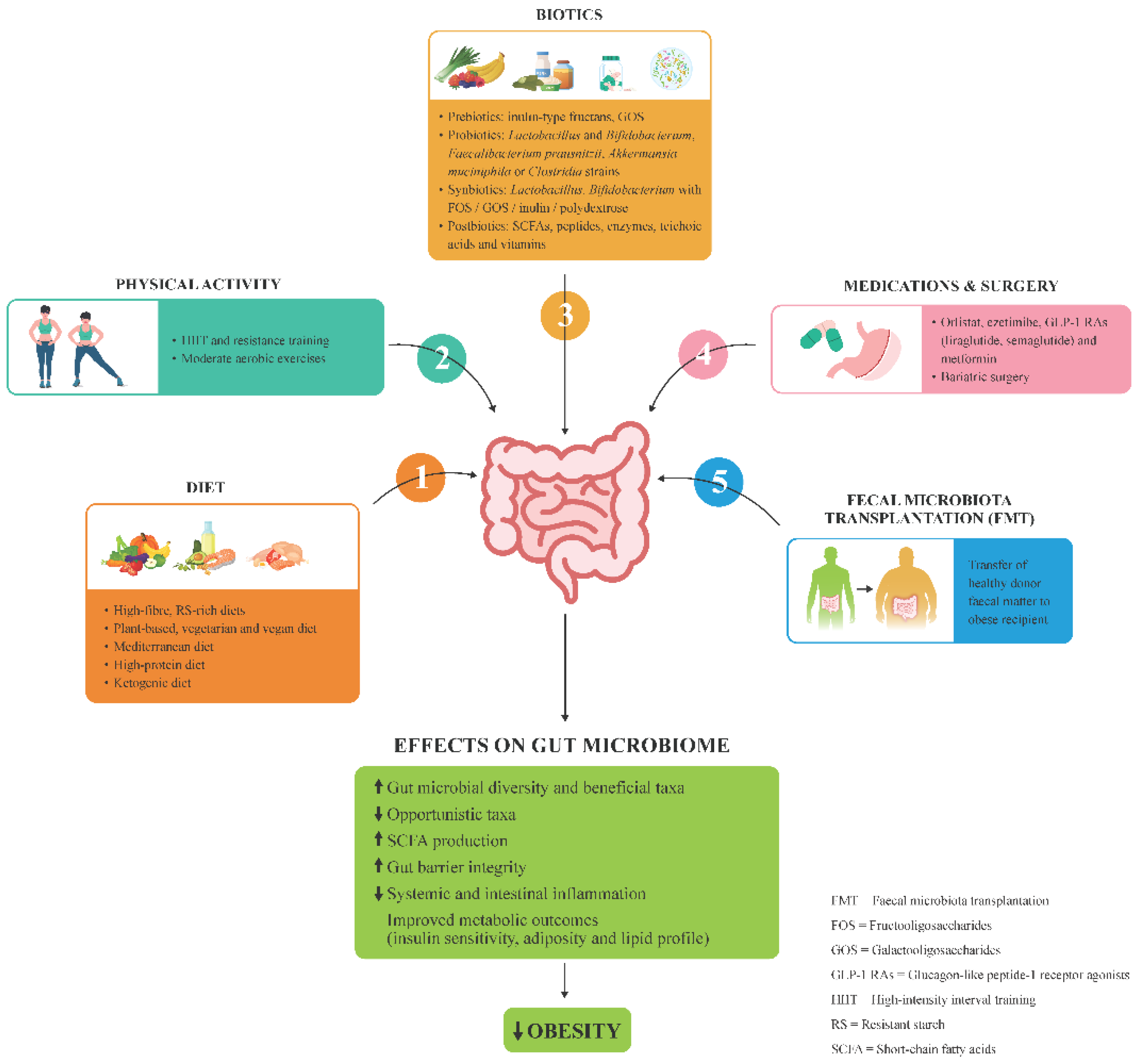 Preprints 208144 g001