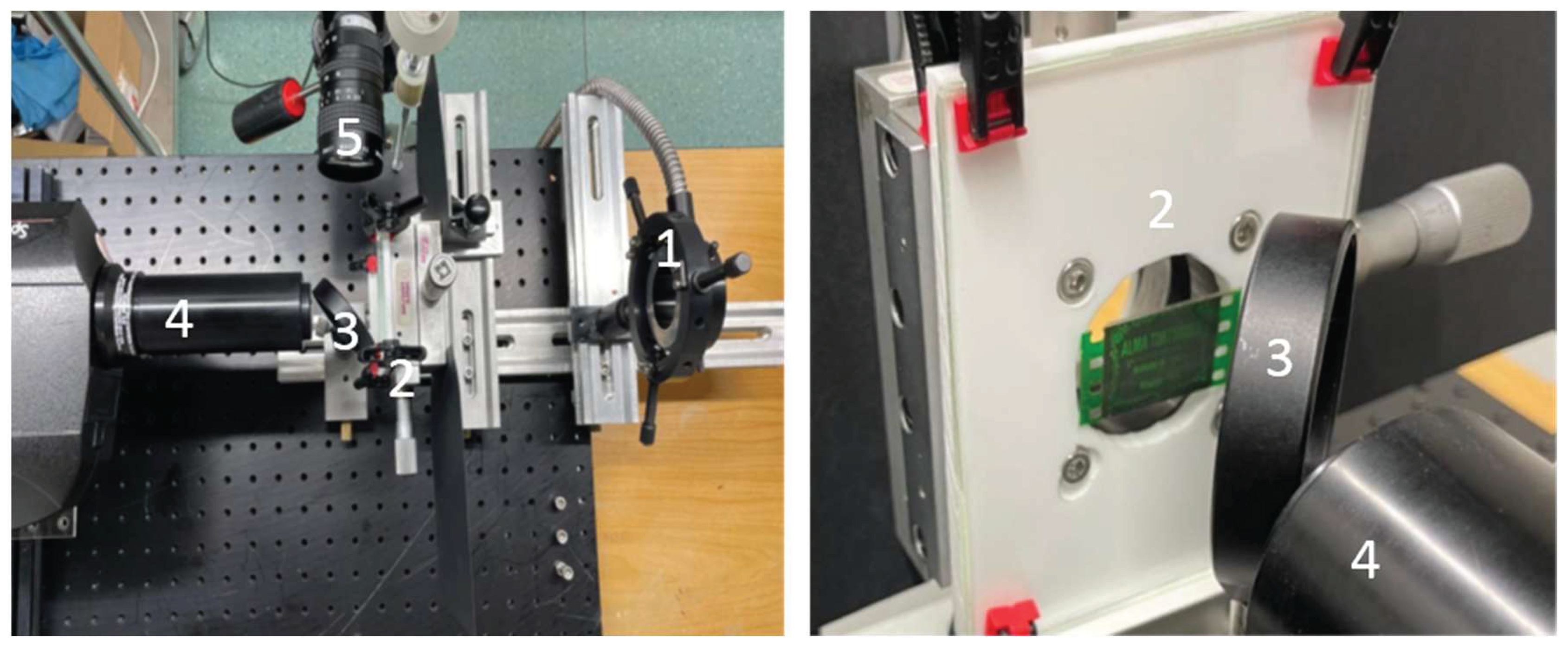 Preprints 181820 g002