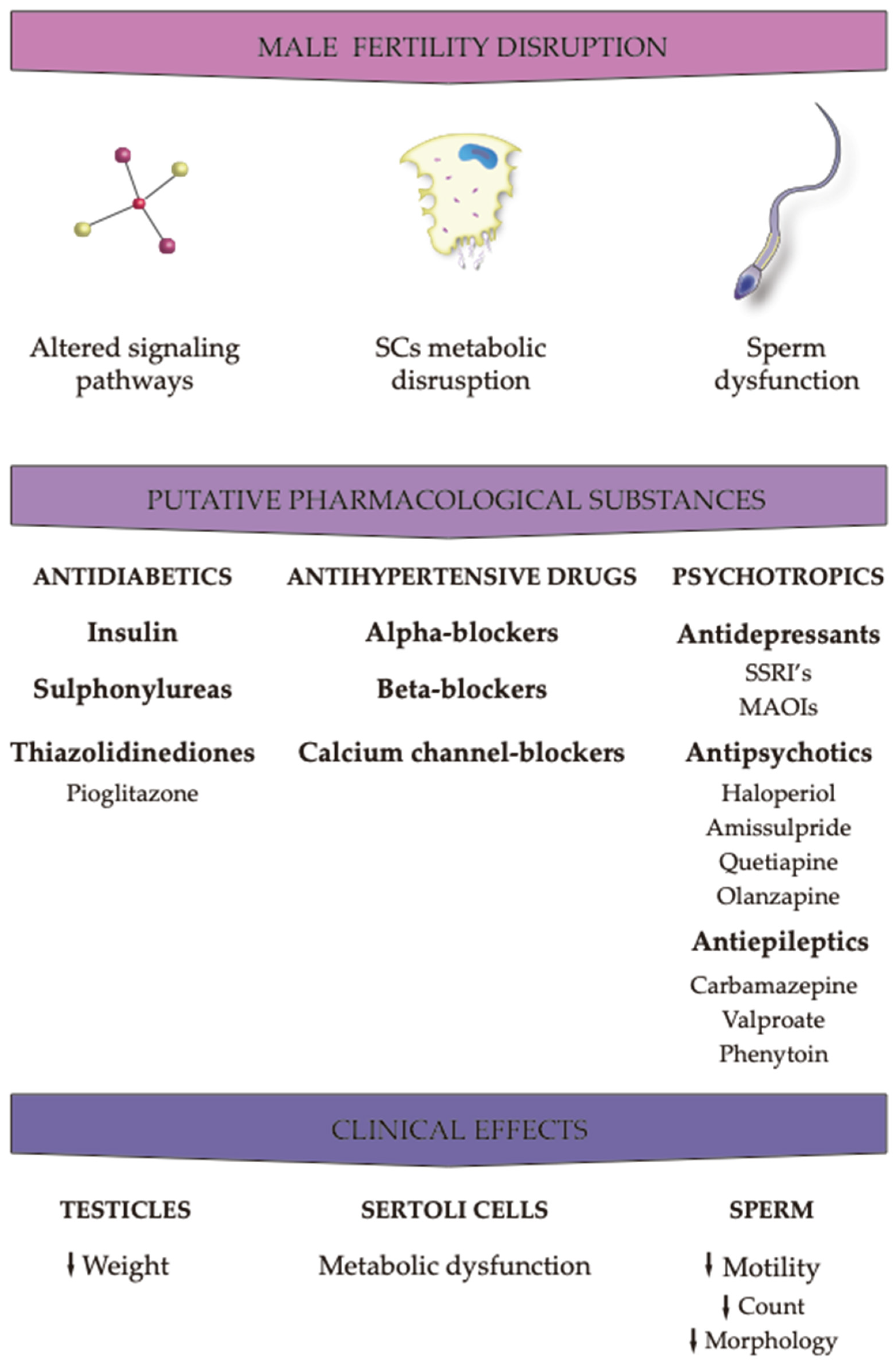 Preprints 95417 g003